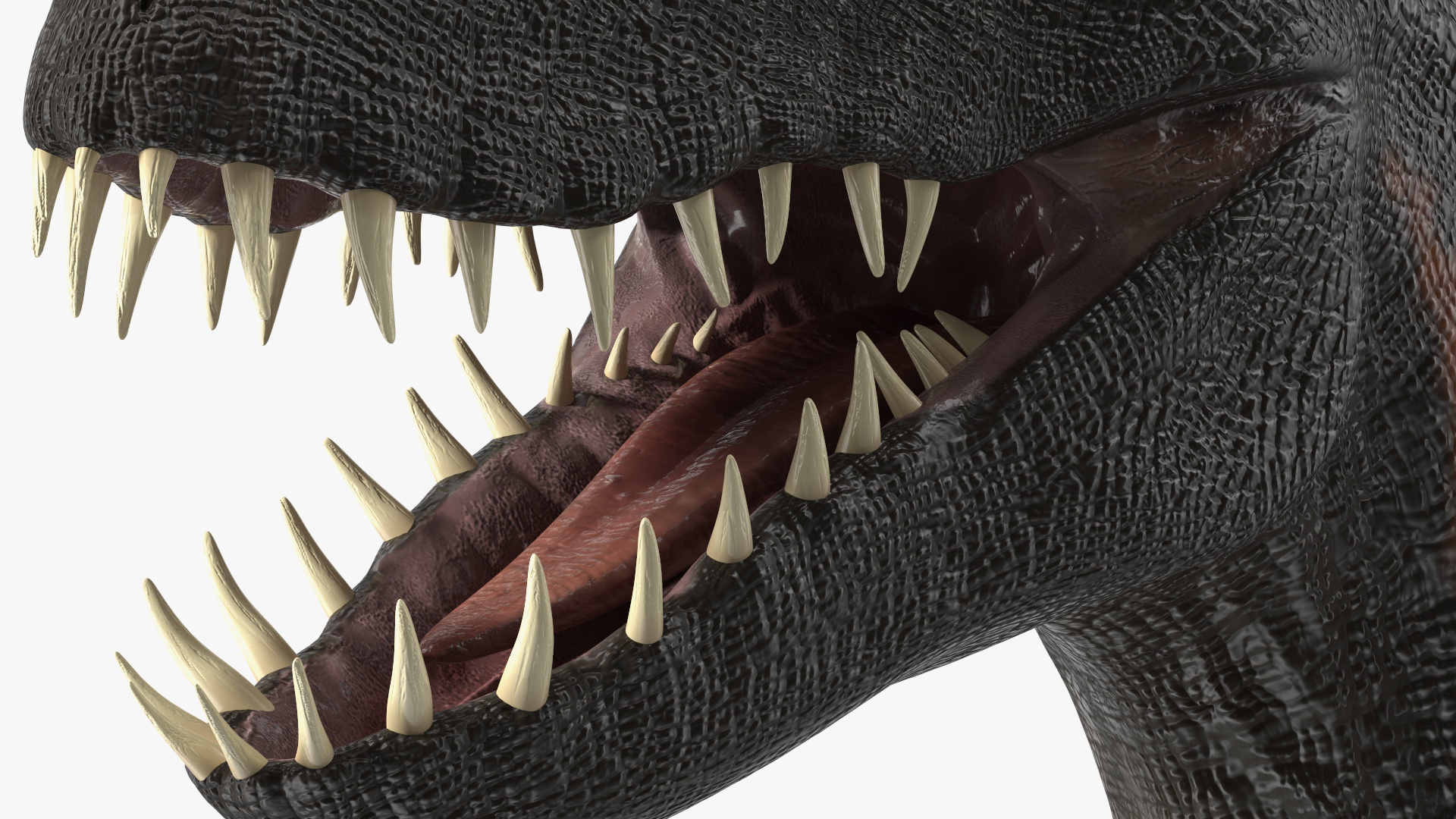 3D model Indoraptor Head