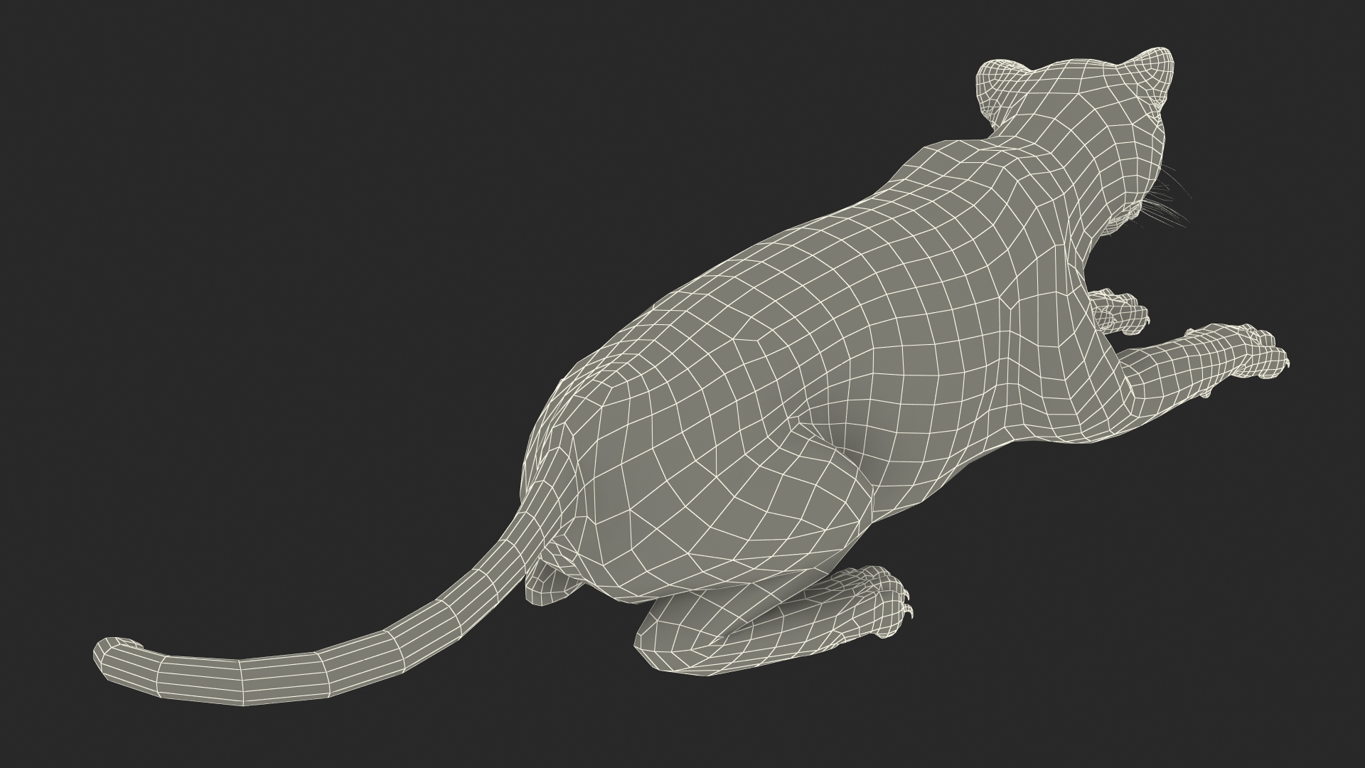 Jaguar Lying Down 3D