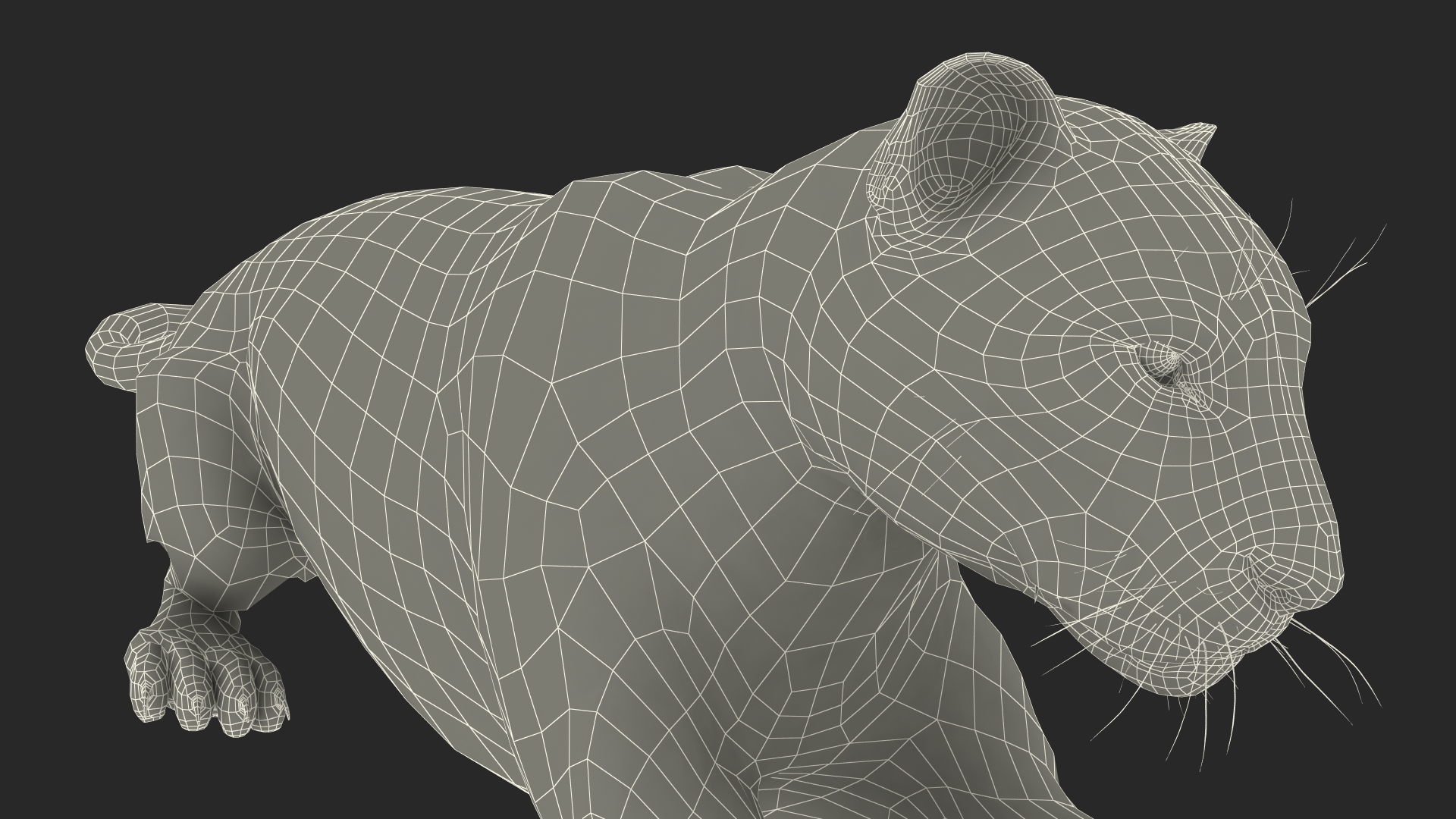 Jaguar Lying Down 3D