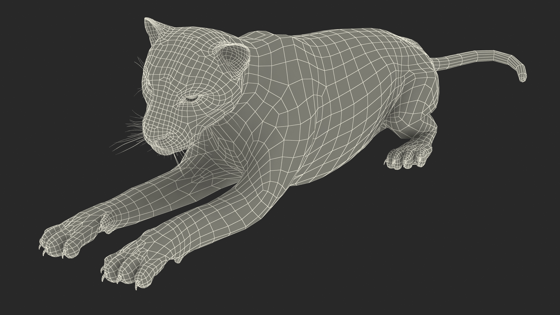 Jaguar Lying Down 3D
