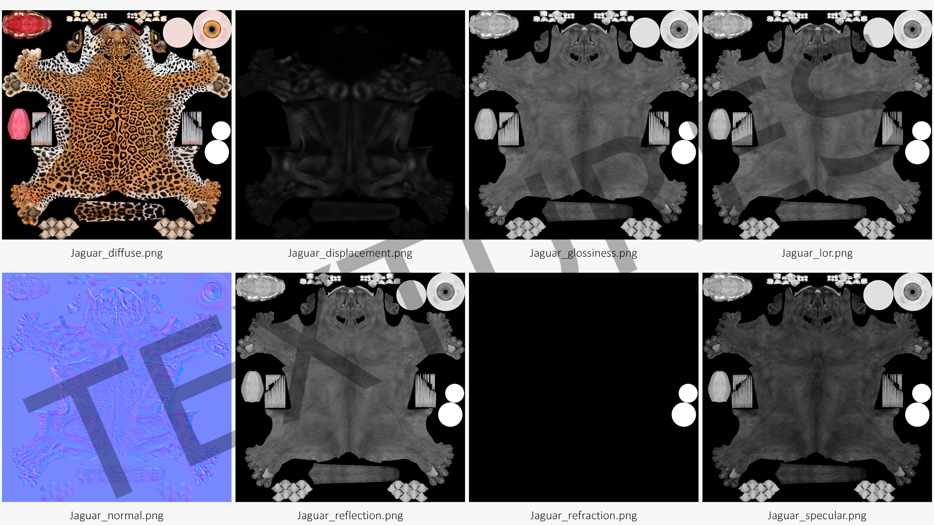 Jaguar Lying Down 3D