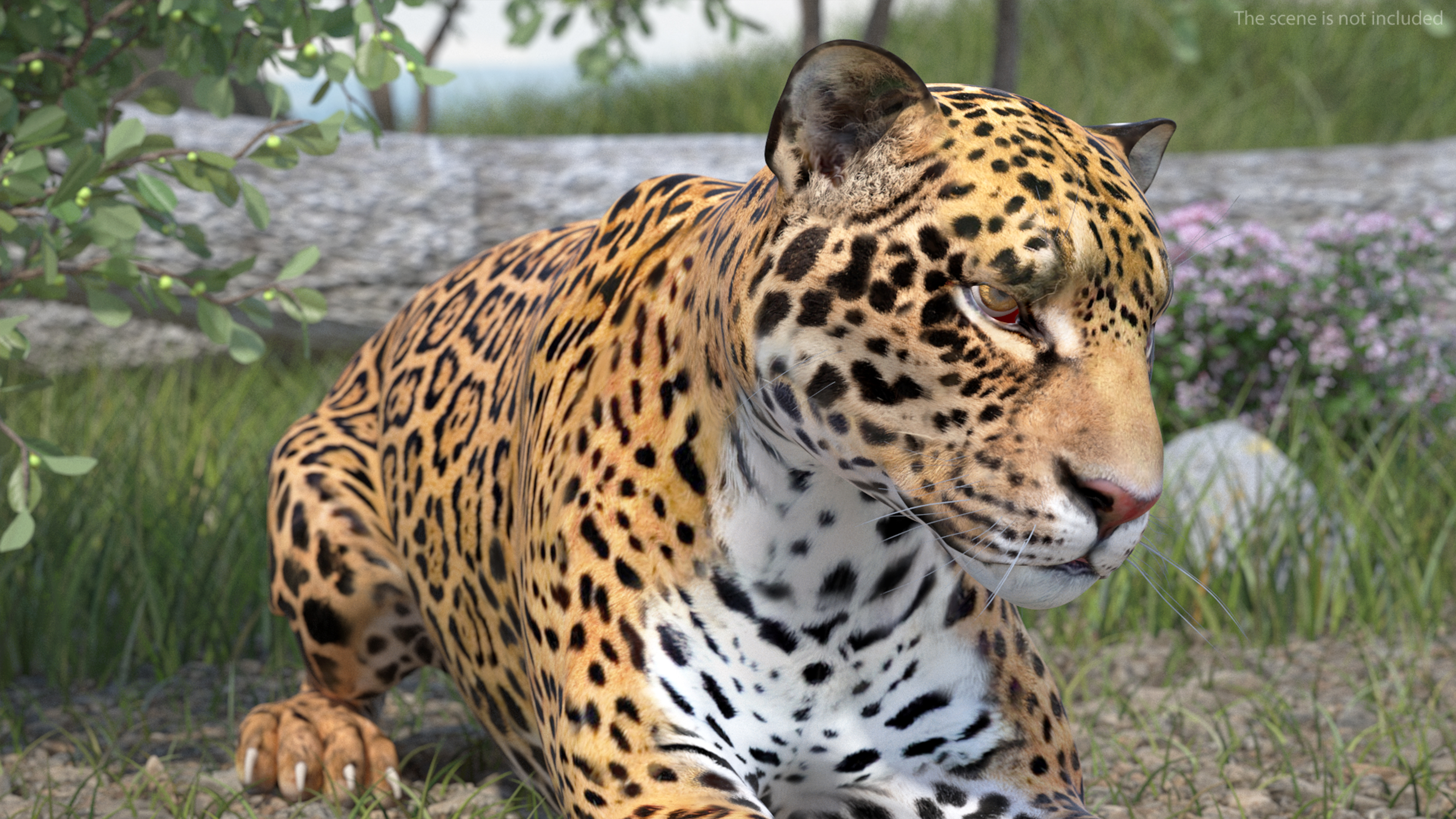 Jaguar Lying Down 3D