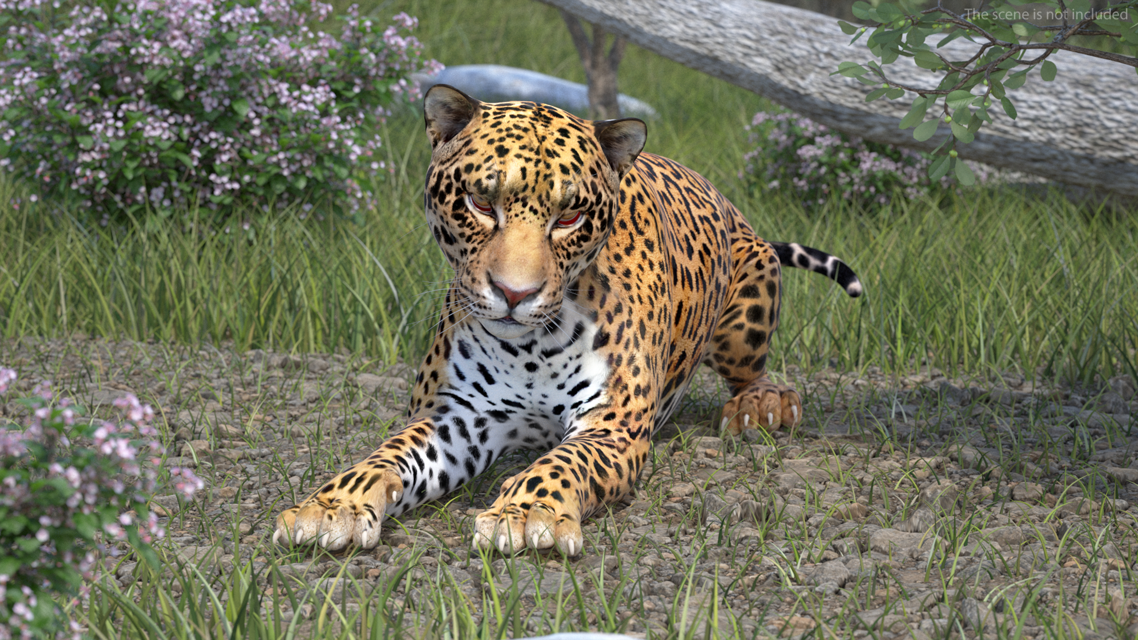 Jaguar Lying Down 3D