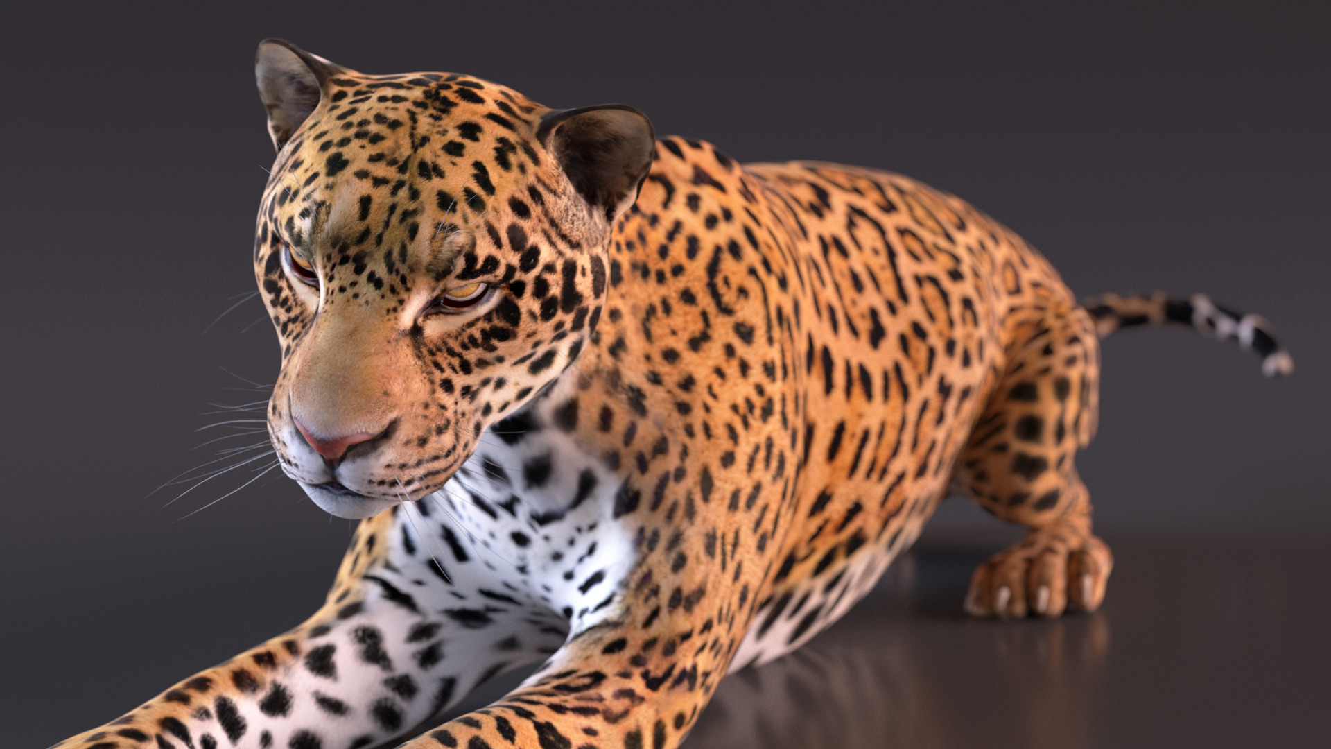 Jaguar Lying Down 3D