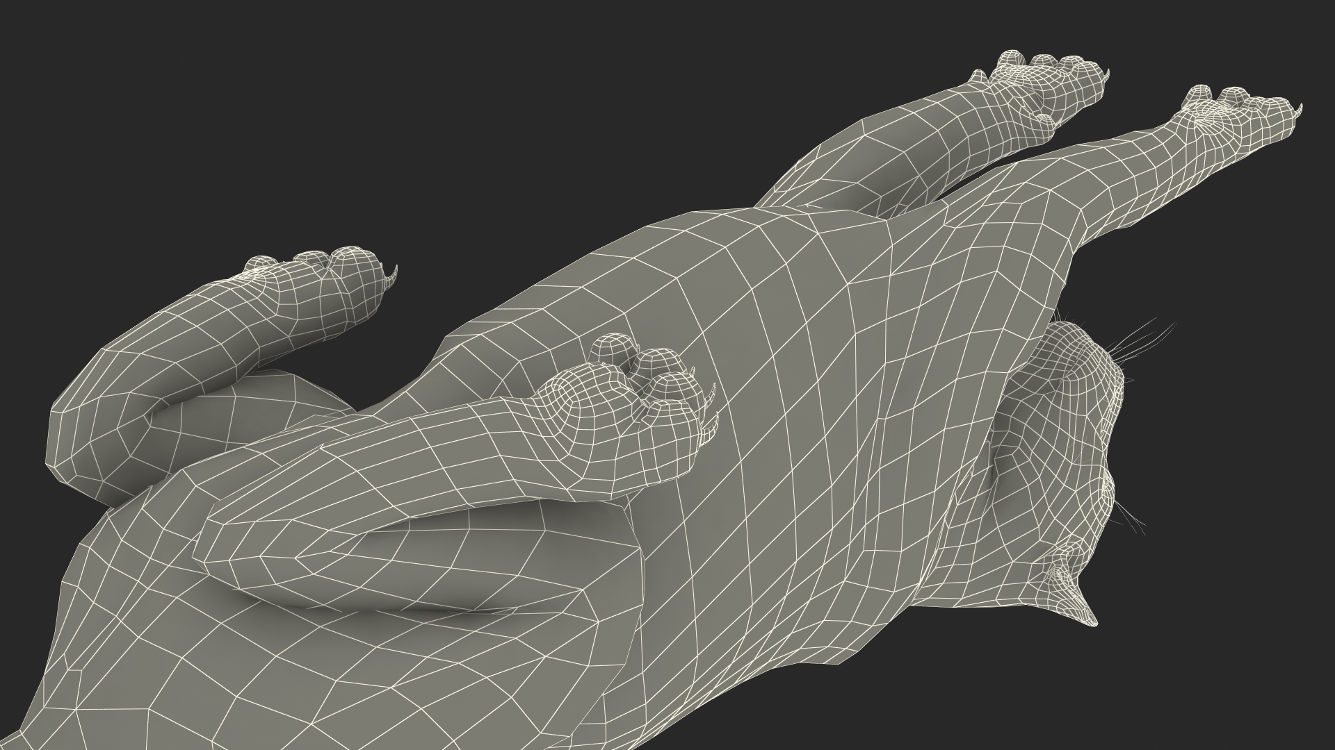 Jaguar Lying Down 3D