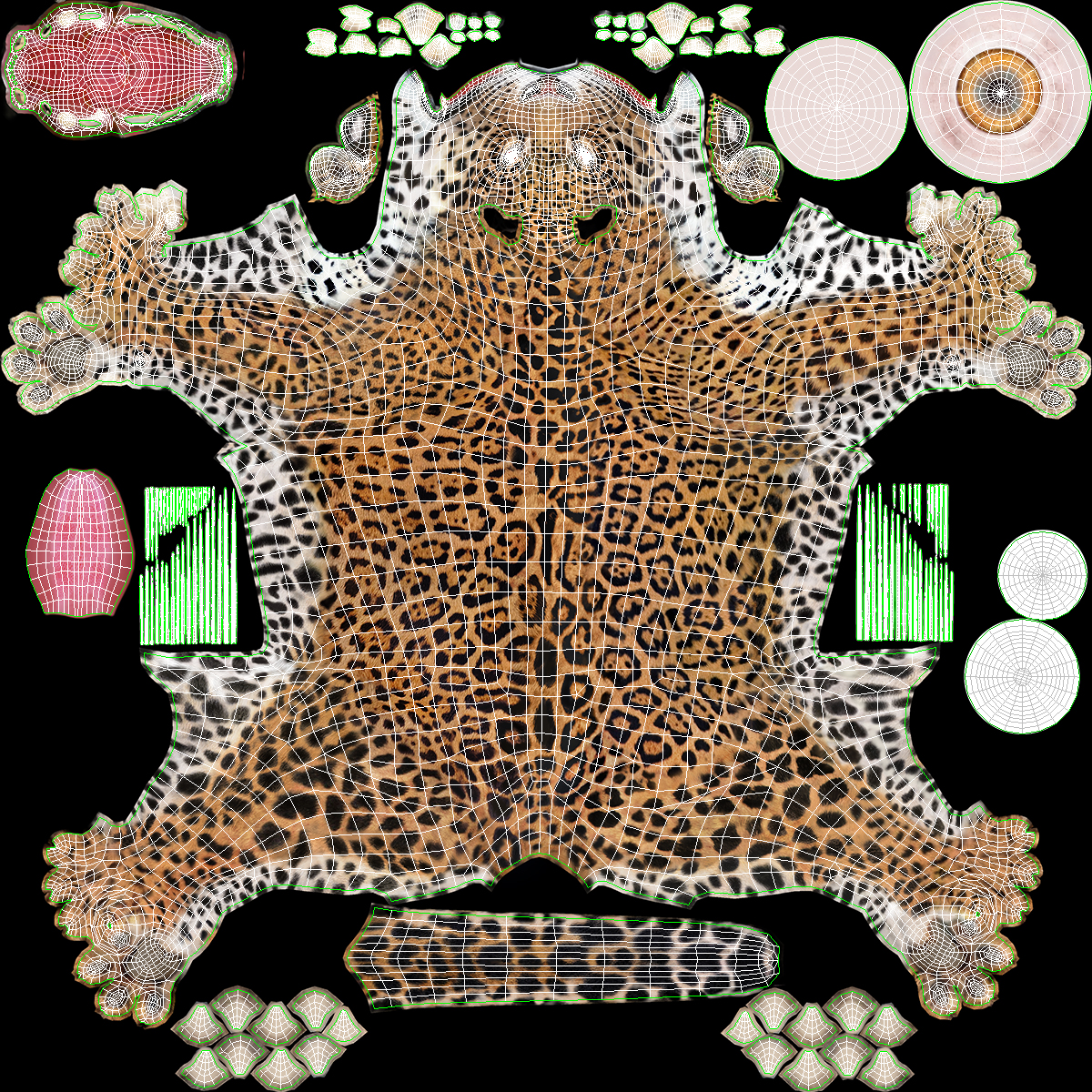 Jaguar Lying Down 3D