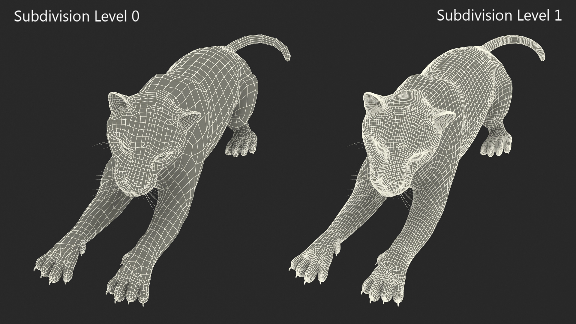 Jaguar Lying Down 3D