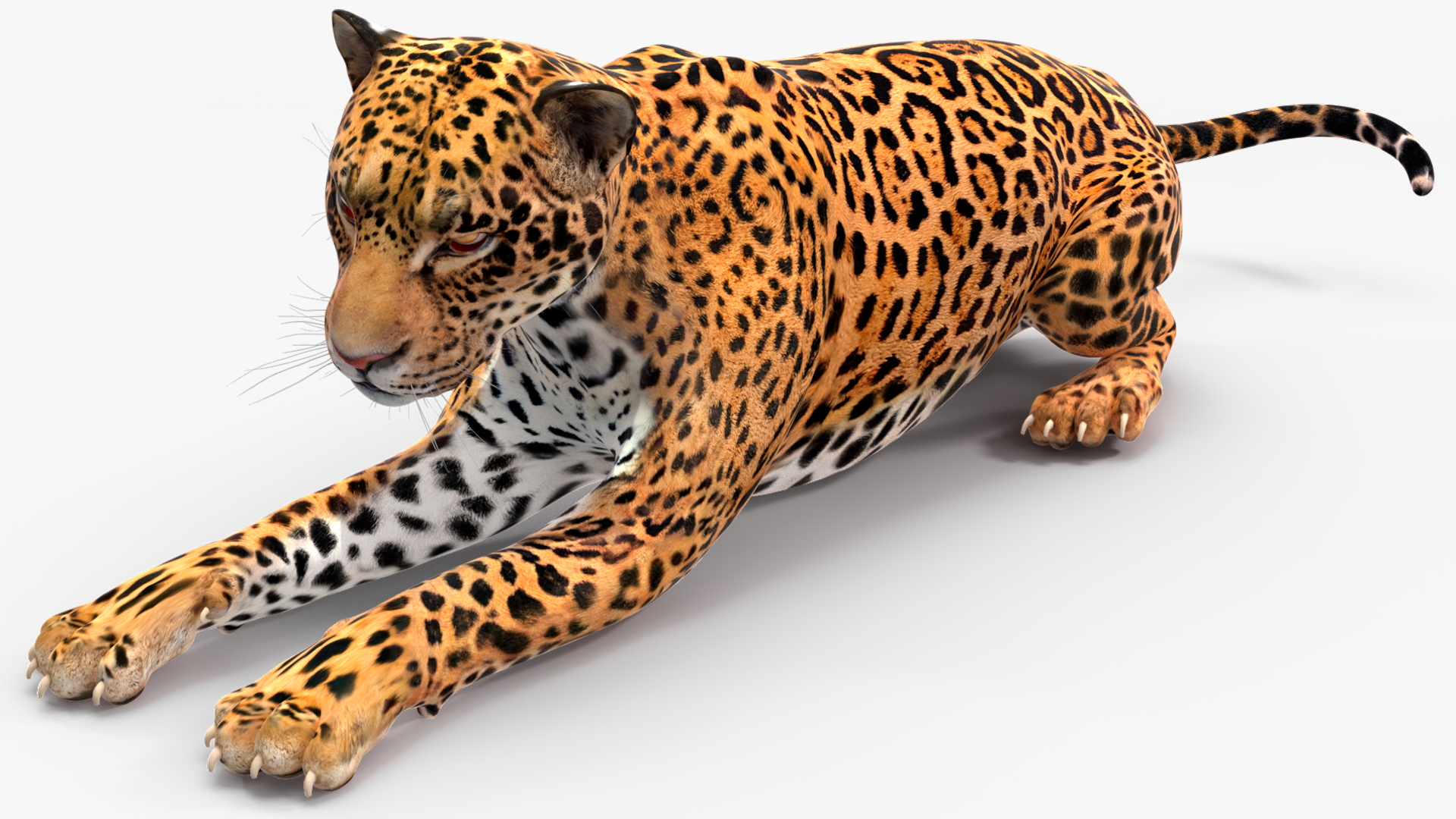 Jaguar Lying Down 3D