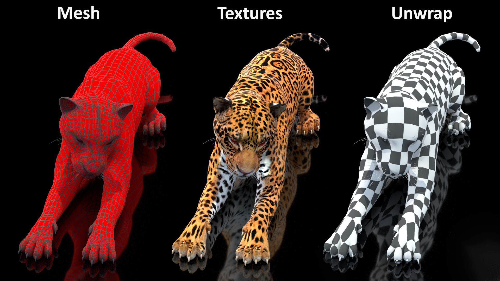 Jaguar Lying Down 3D