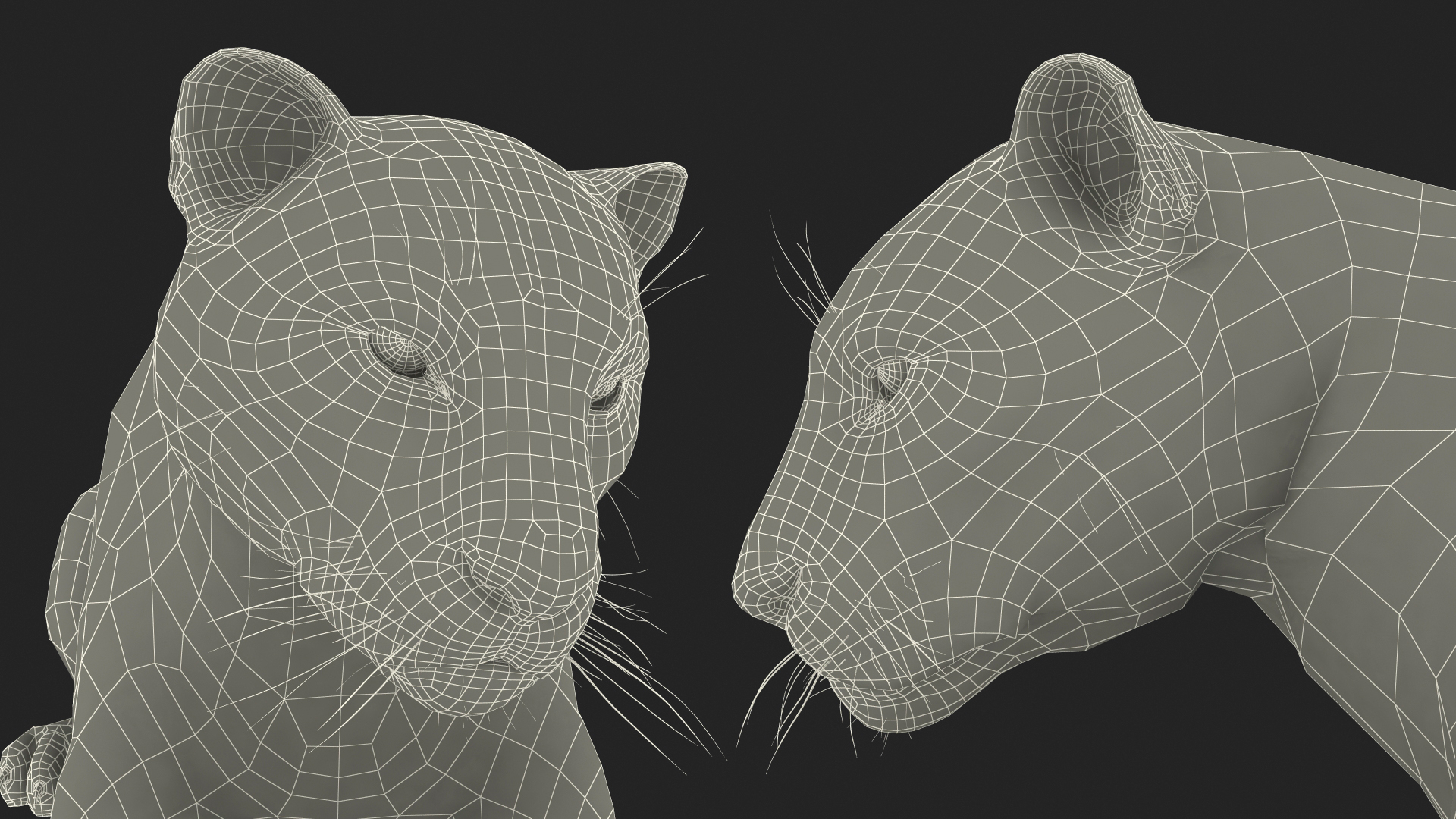Jaguar Lying Down 3D