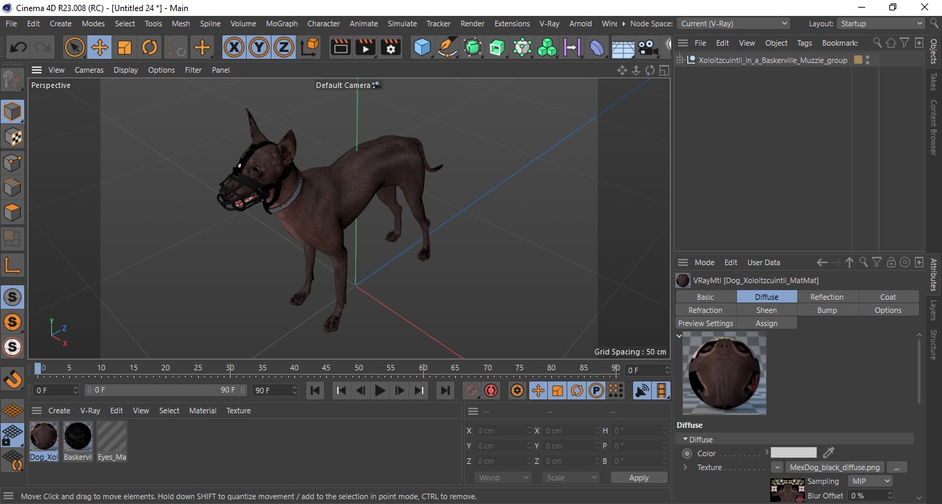 3D Xoloitzcuintli in a Baskerville Muzzle model