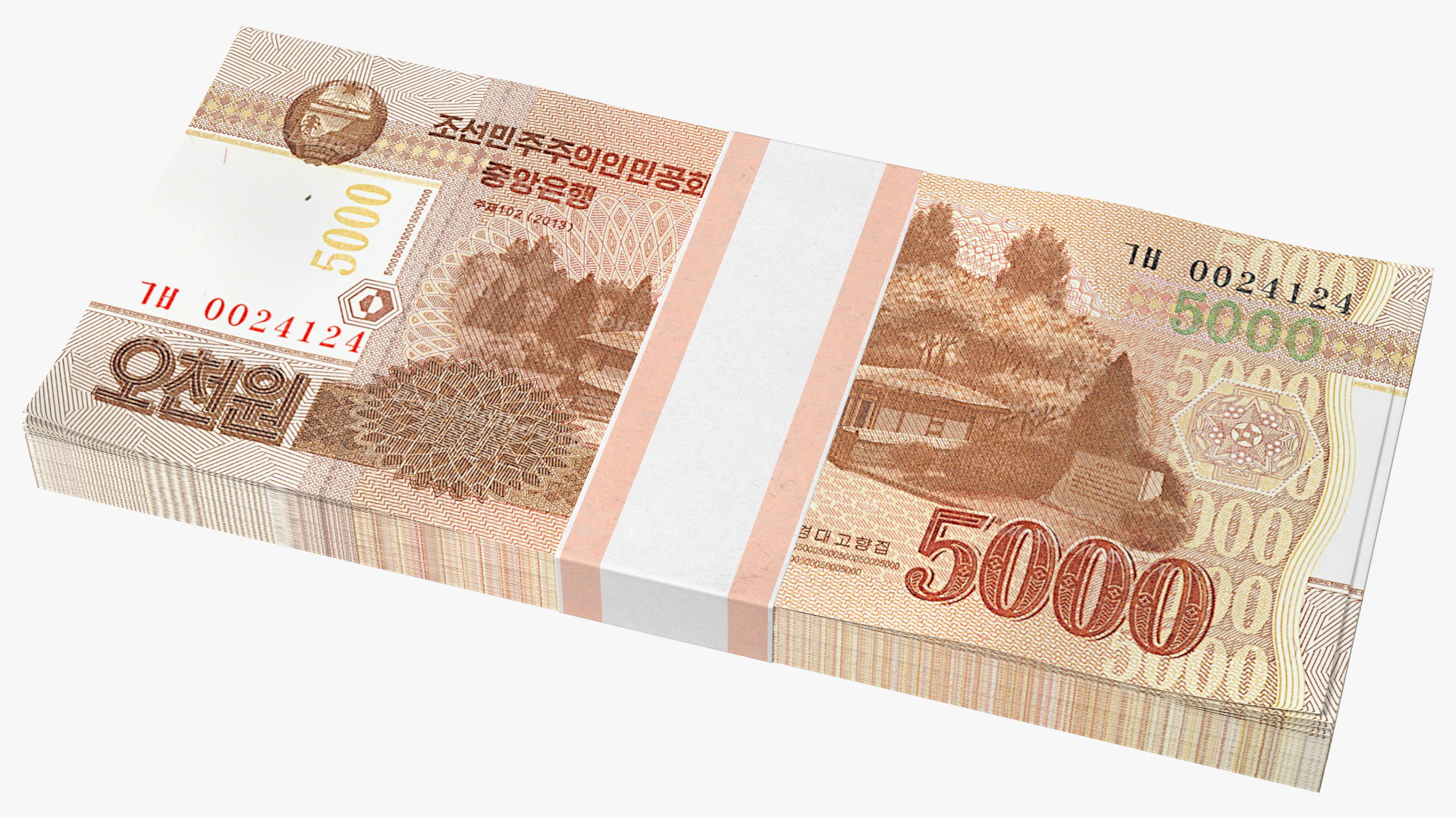 3D model North Korea 5000 Won Banknotes 2013 Pack
