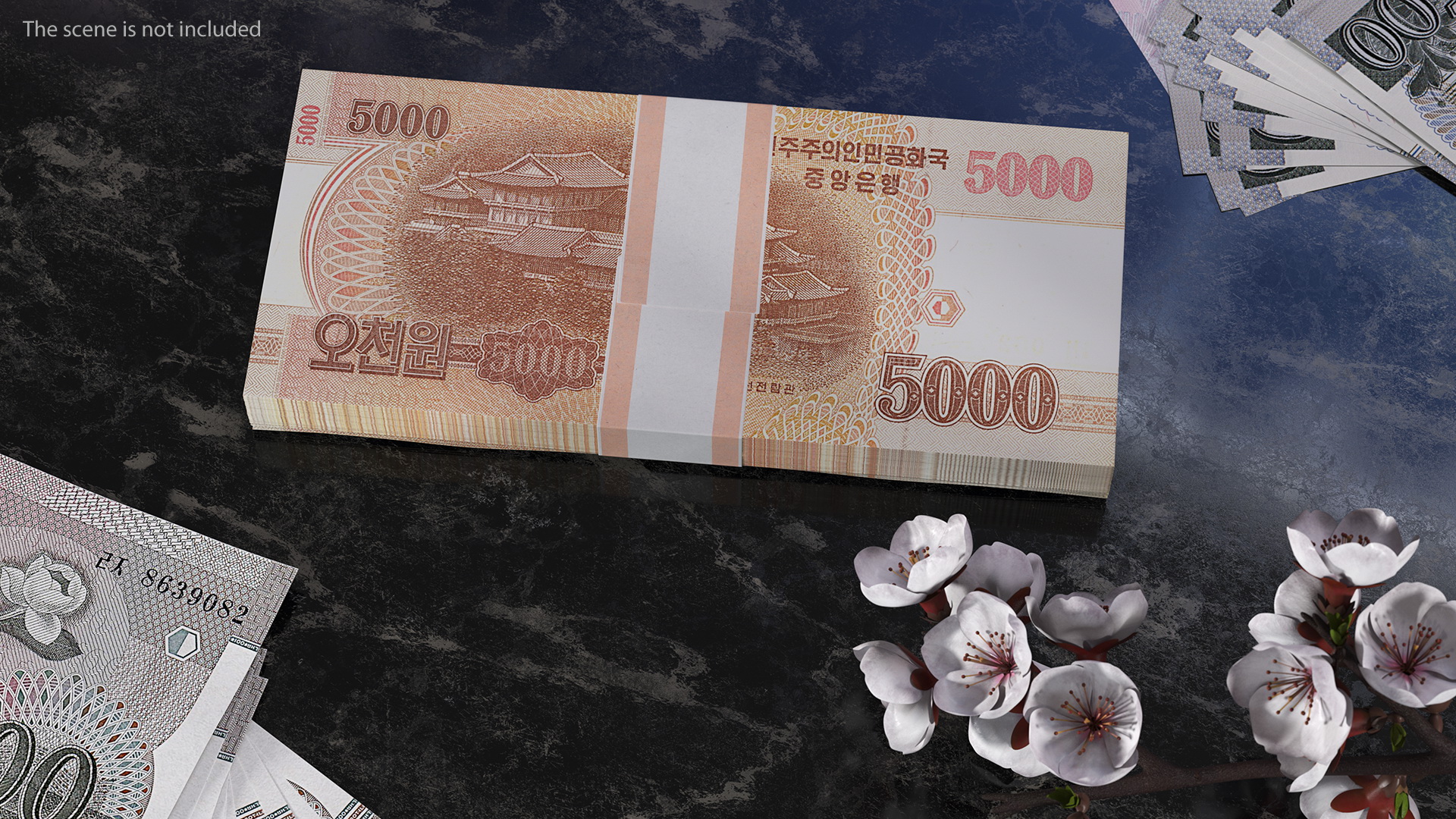 3D model North Korea 5000 Won Banknotes 2013 Pack