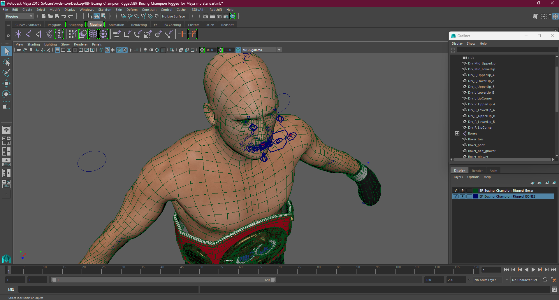 3D model IBF Boxing Champion Rigged for Maya