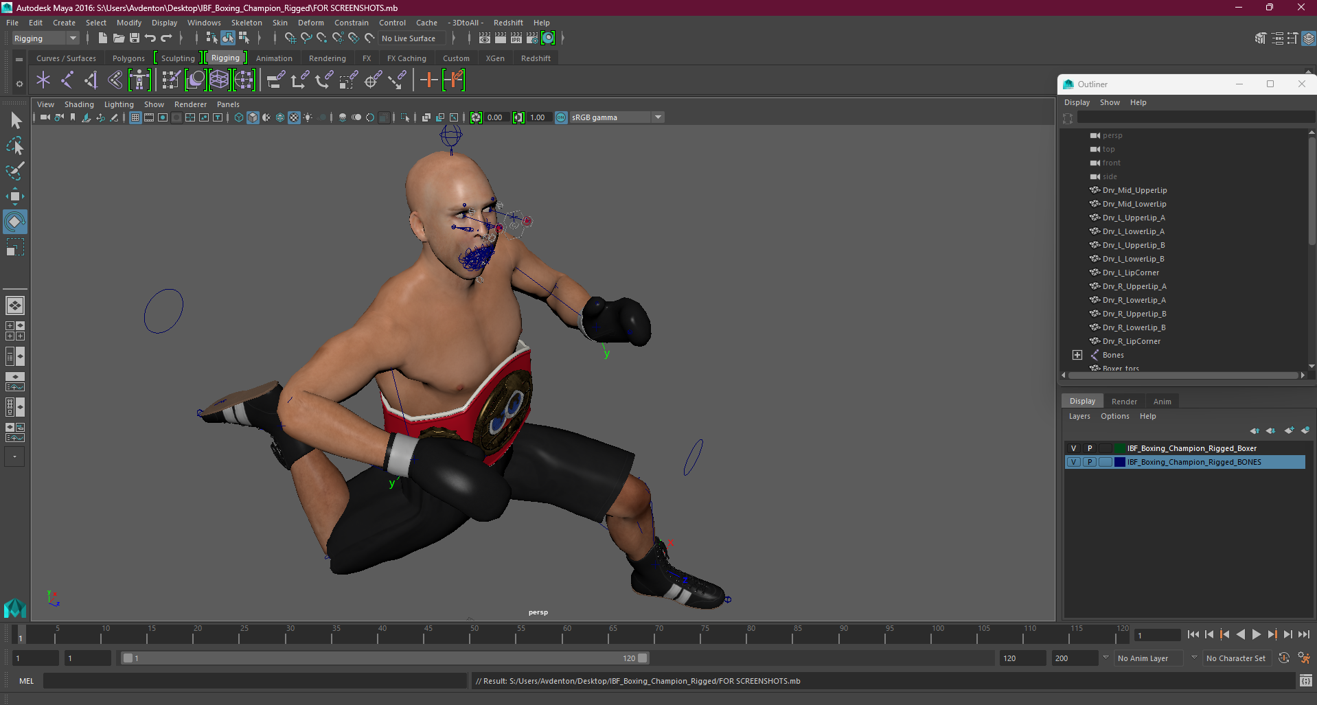 3D model IBF Boxing Champion Rigged for Maya