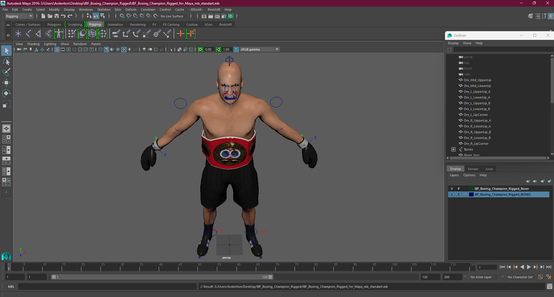 3D model IBF Boxing Champion Rigged for Maya