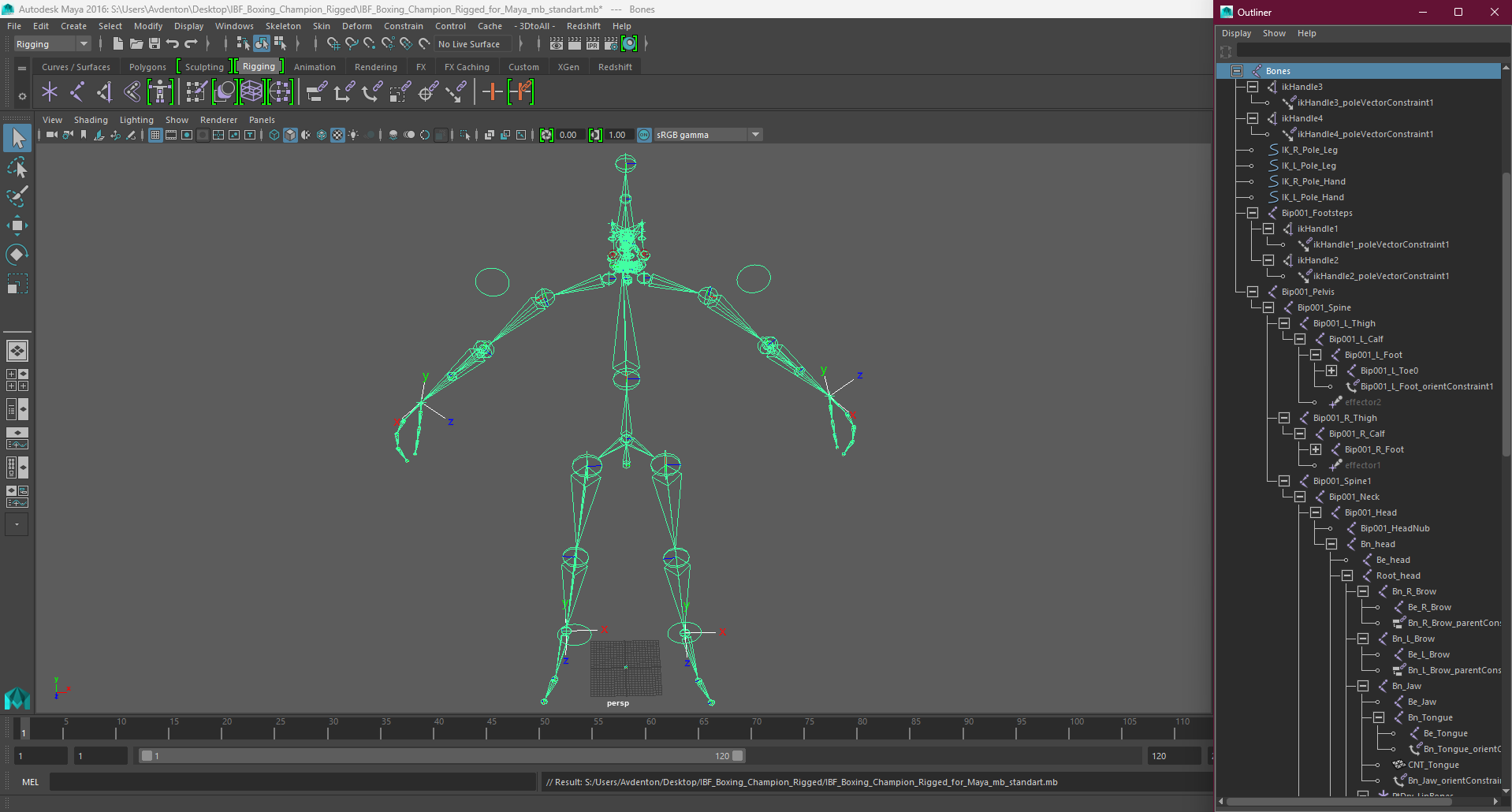 3D model IBF Boxing Champion Rigged for Maya
