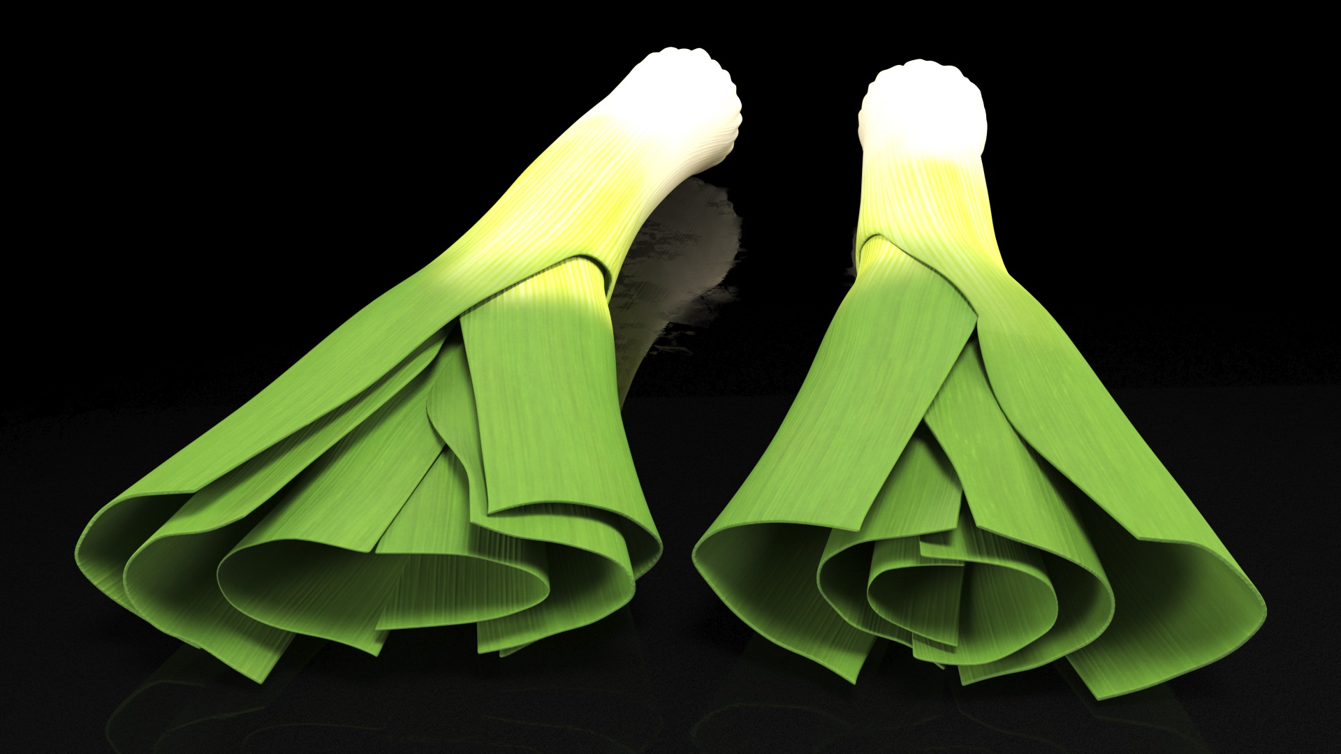 3D Cleaned and Cuted Leeks model