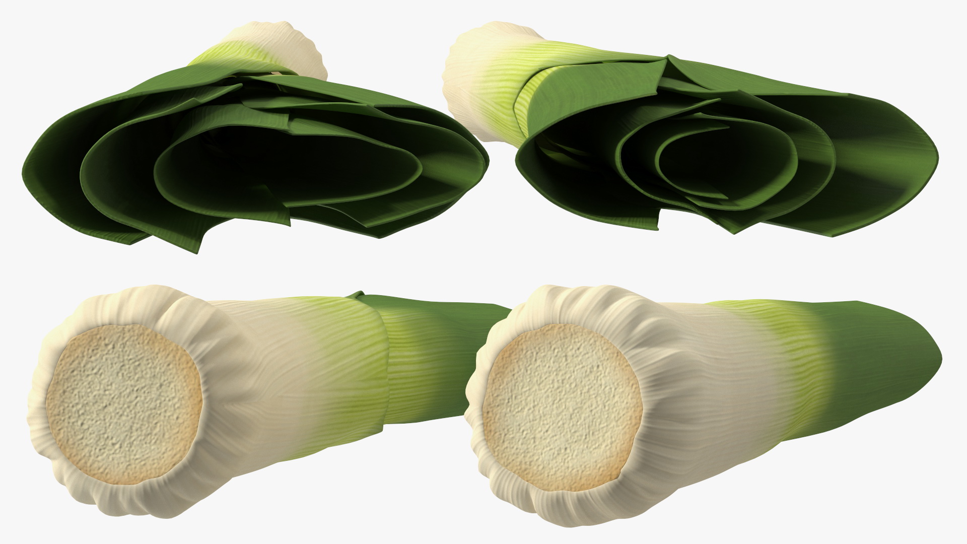 3D Cleaned and Cuted Leeks model