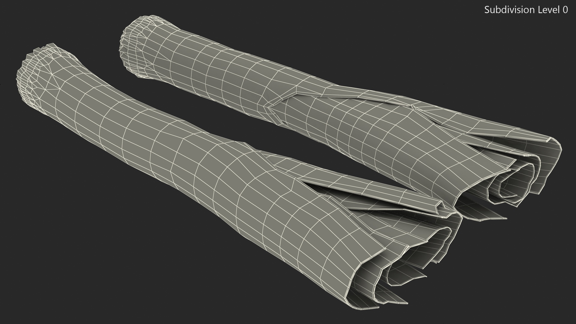 3D Cleaned and Cuted Leeks model