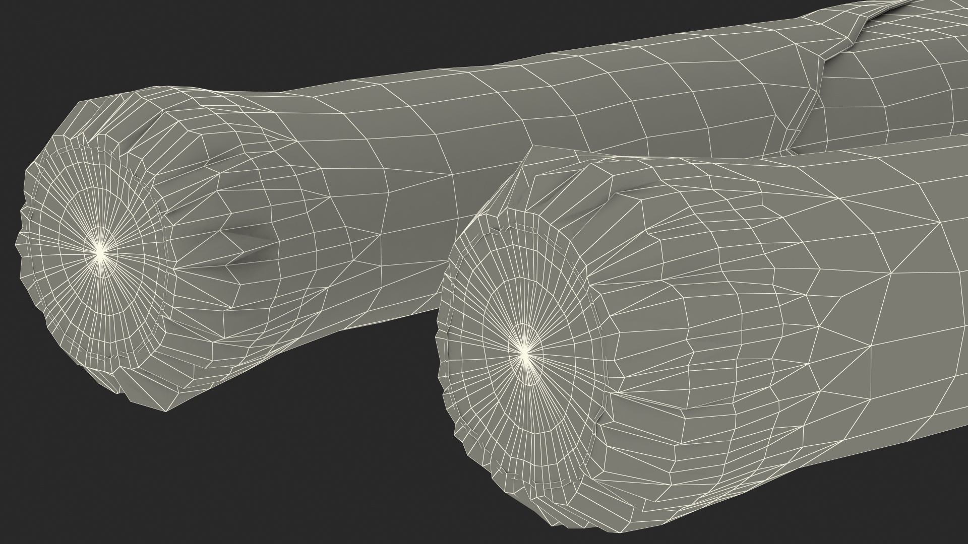 3D Cleaned and Cuted Leeks model