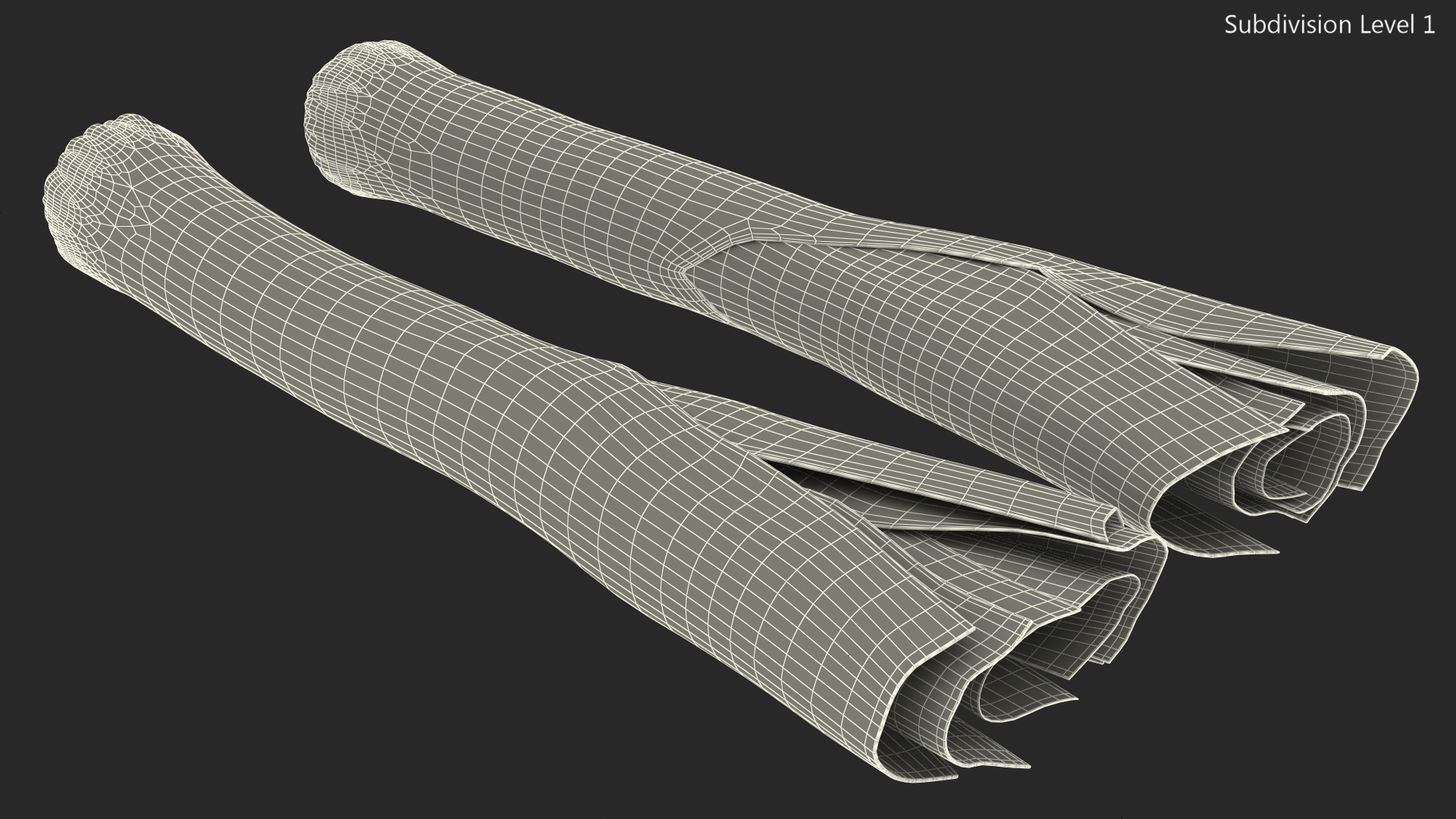 3D Cleaned and Cuted Leeks model