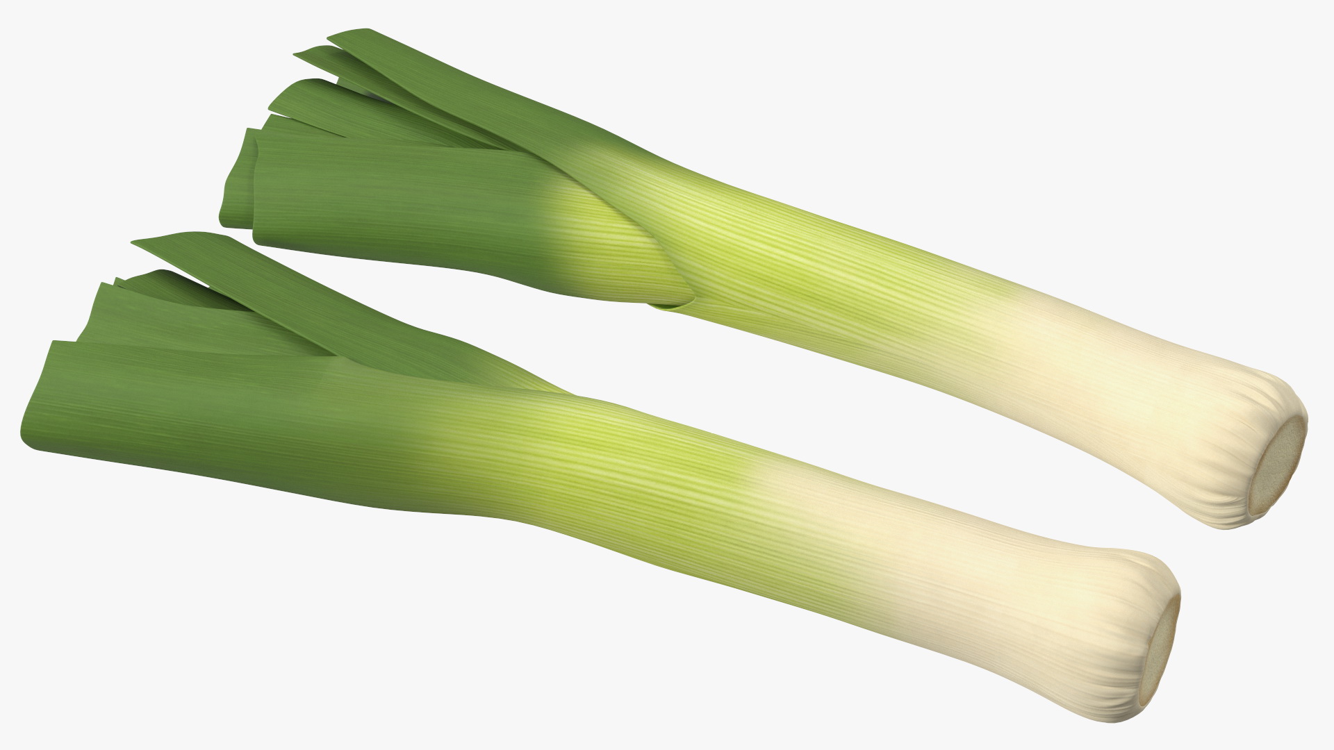 3D Cleaned and Cuted Leeks model