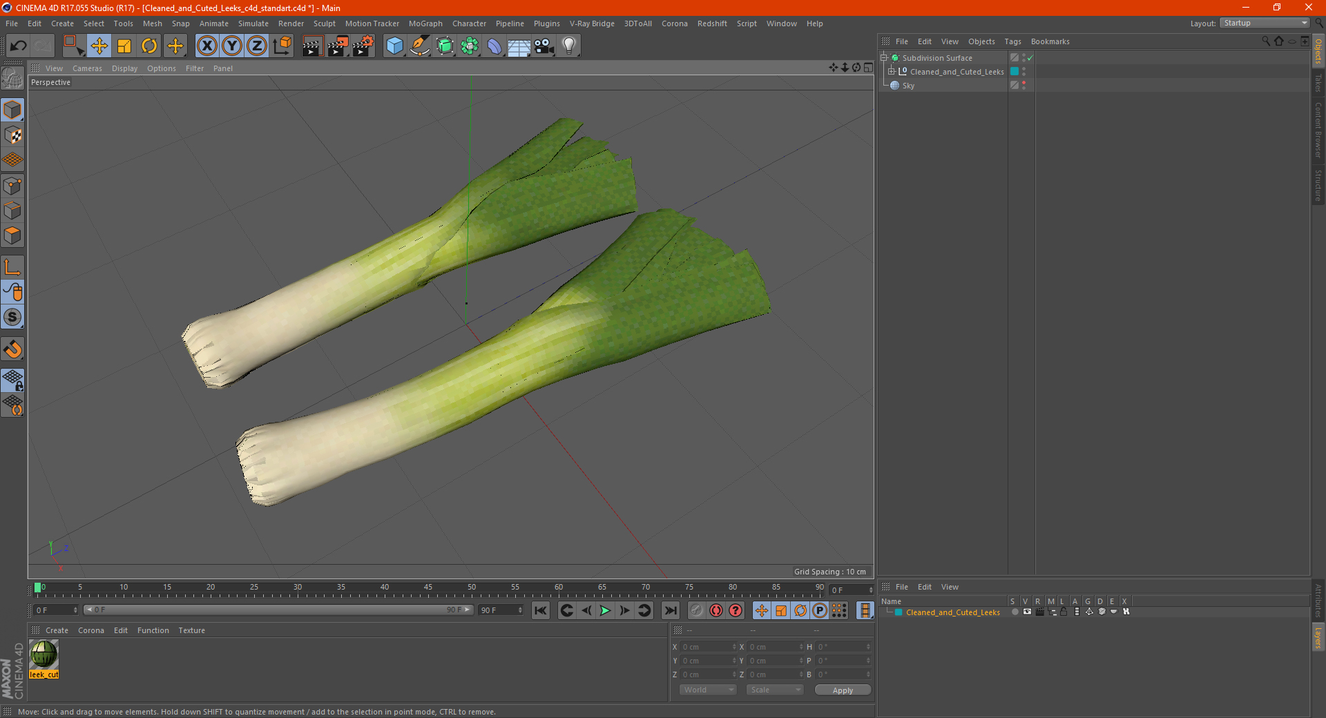 3D Cleaned and Cuted Leeks model