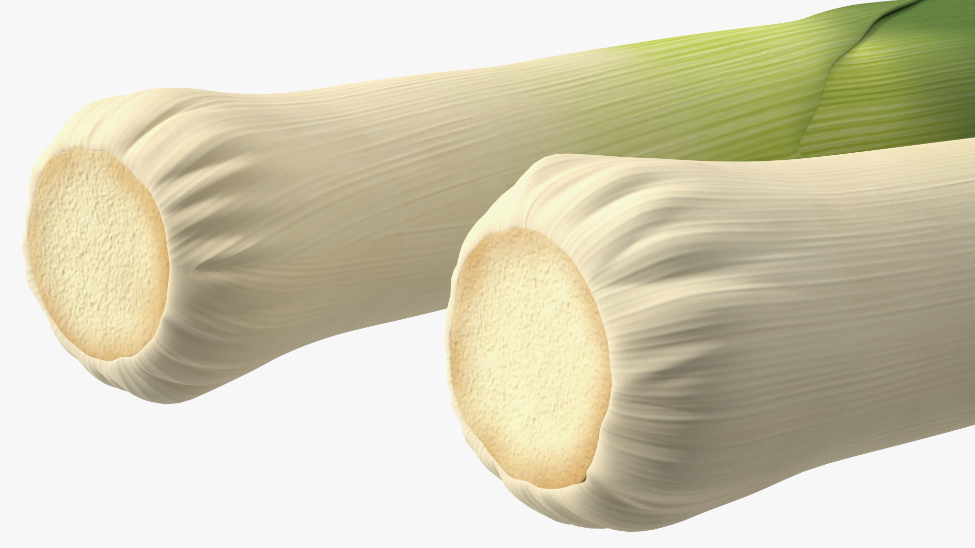 3D Cleaned and Cuted Leeks model