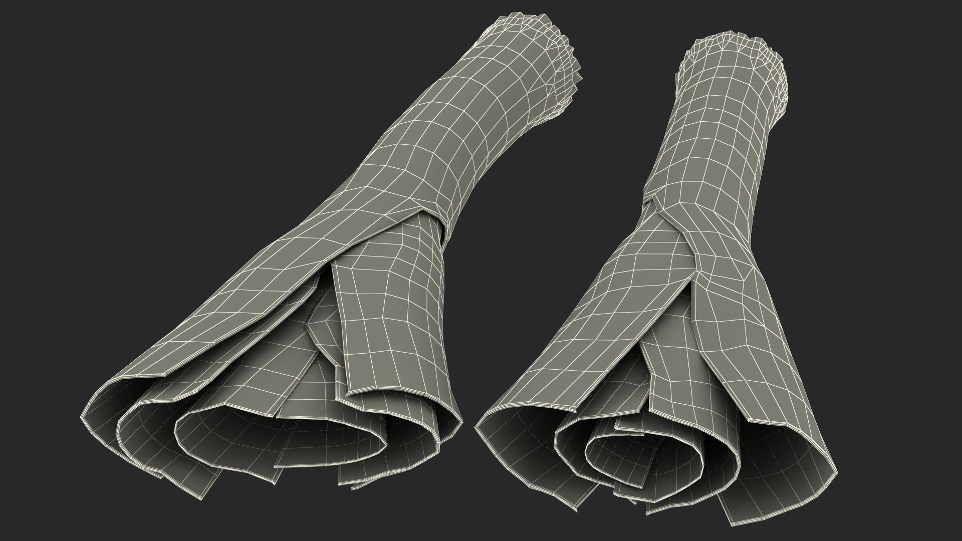 3D Cleaned and Cuted Leeks model