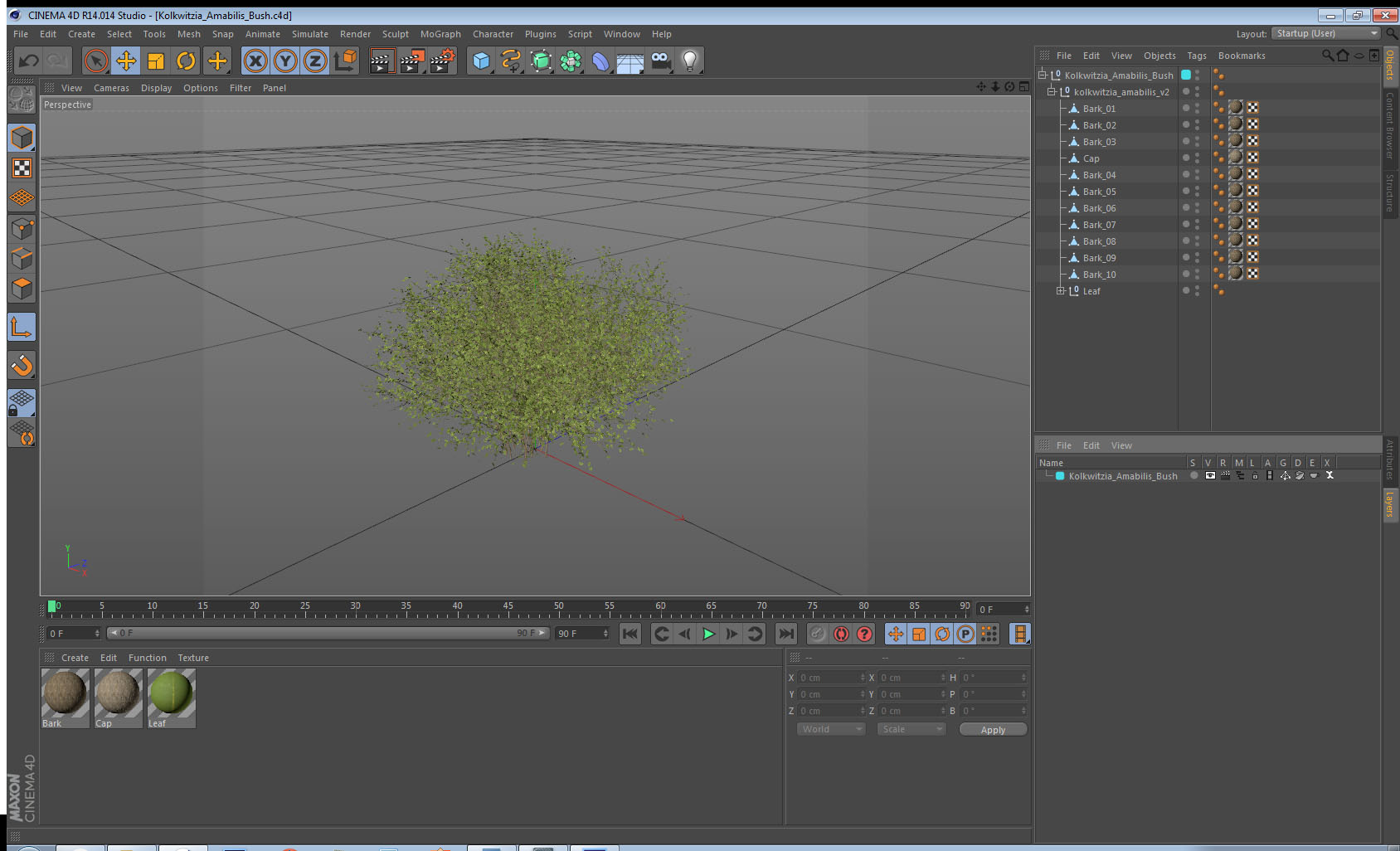 Kolkwitzia Amabilis Bush 3D model