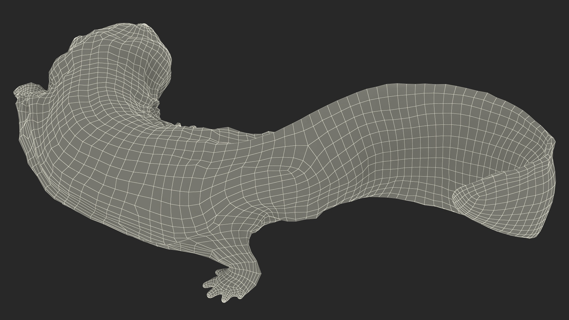 3D Salamander Dark Lying