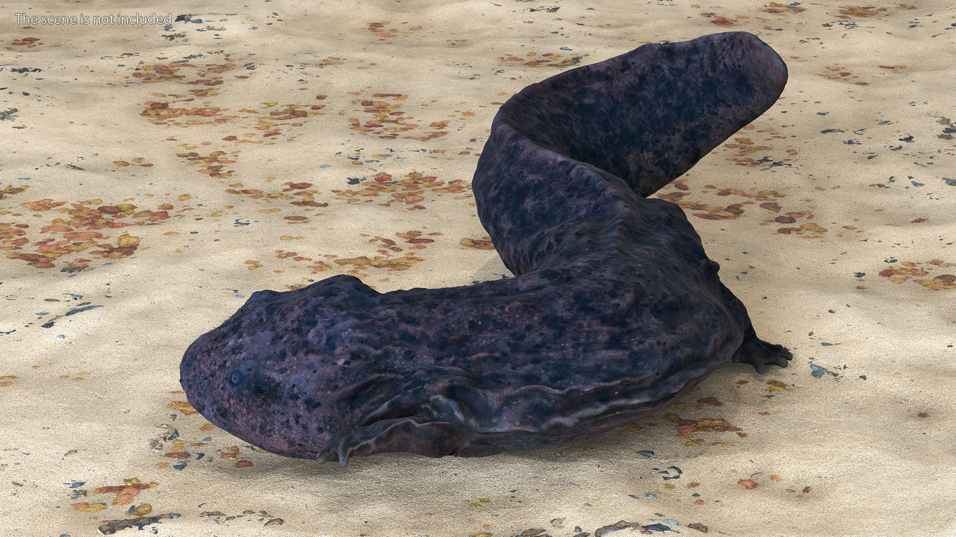 3D Salamander Dark Lying