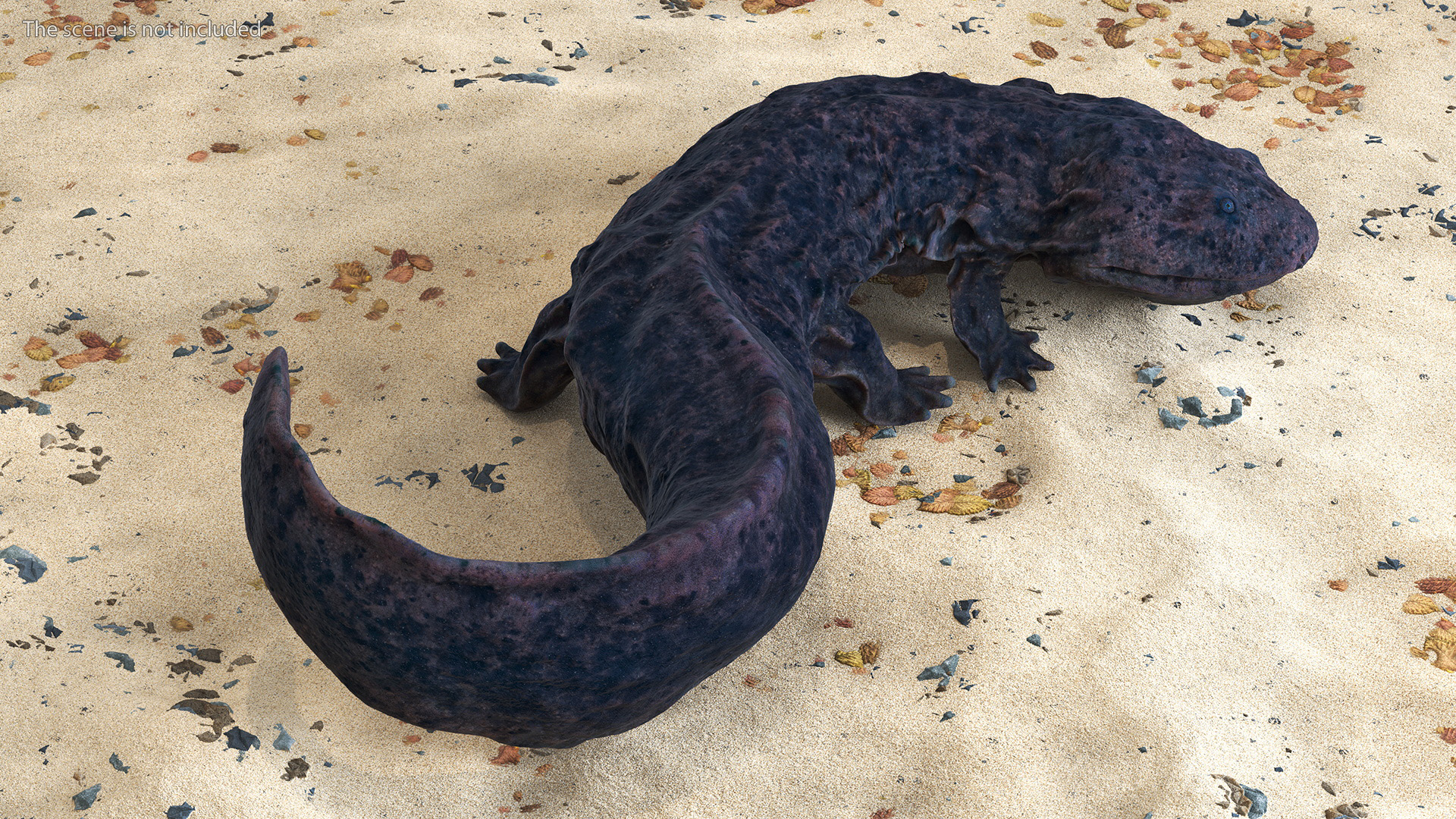 3D Salamander Dark Lying