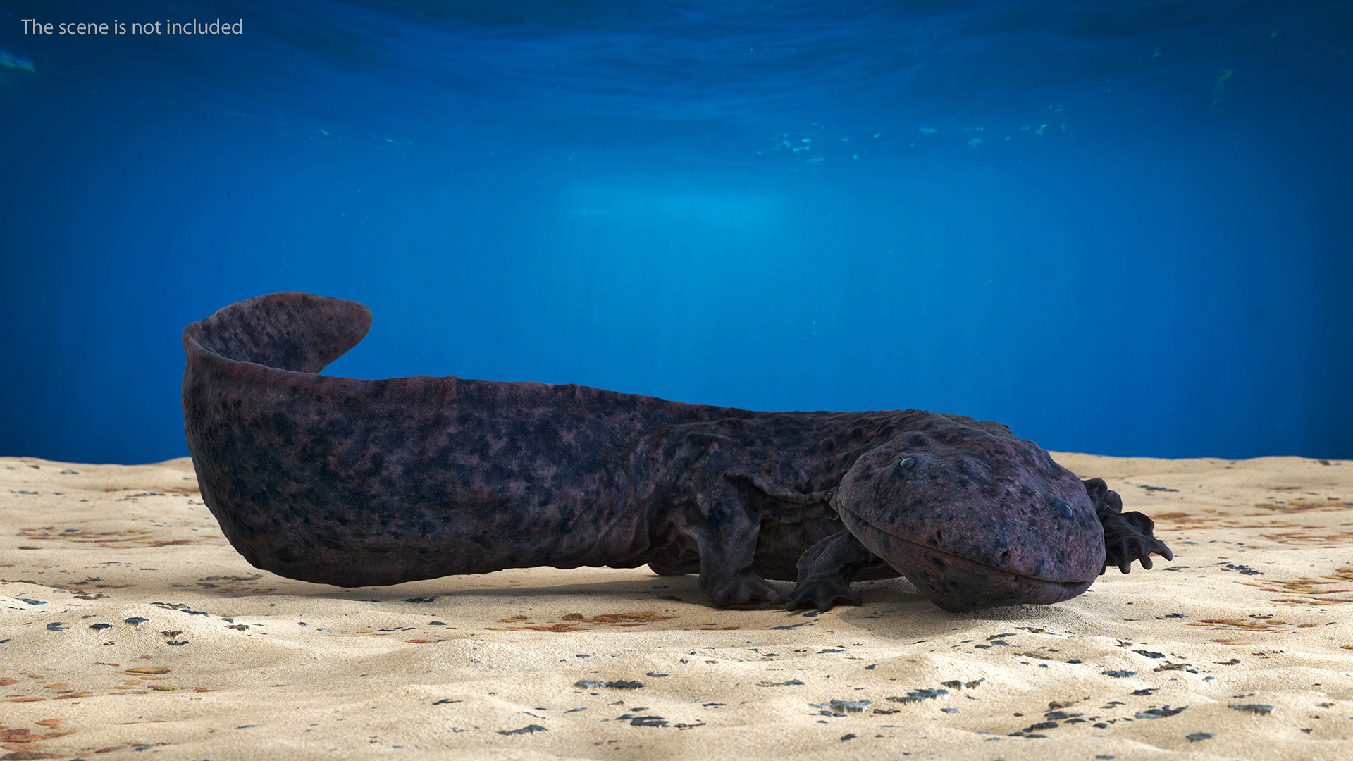 3D Salamander Dark Lying