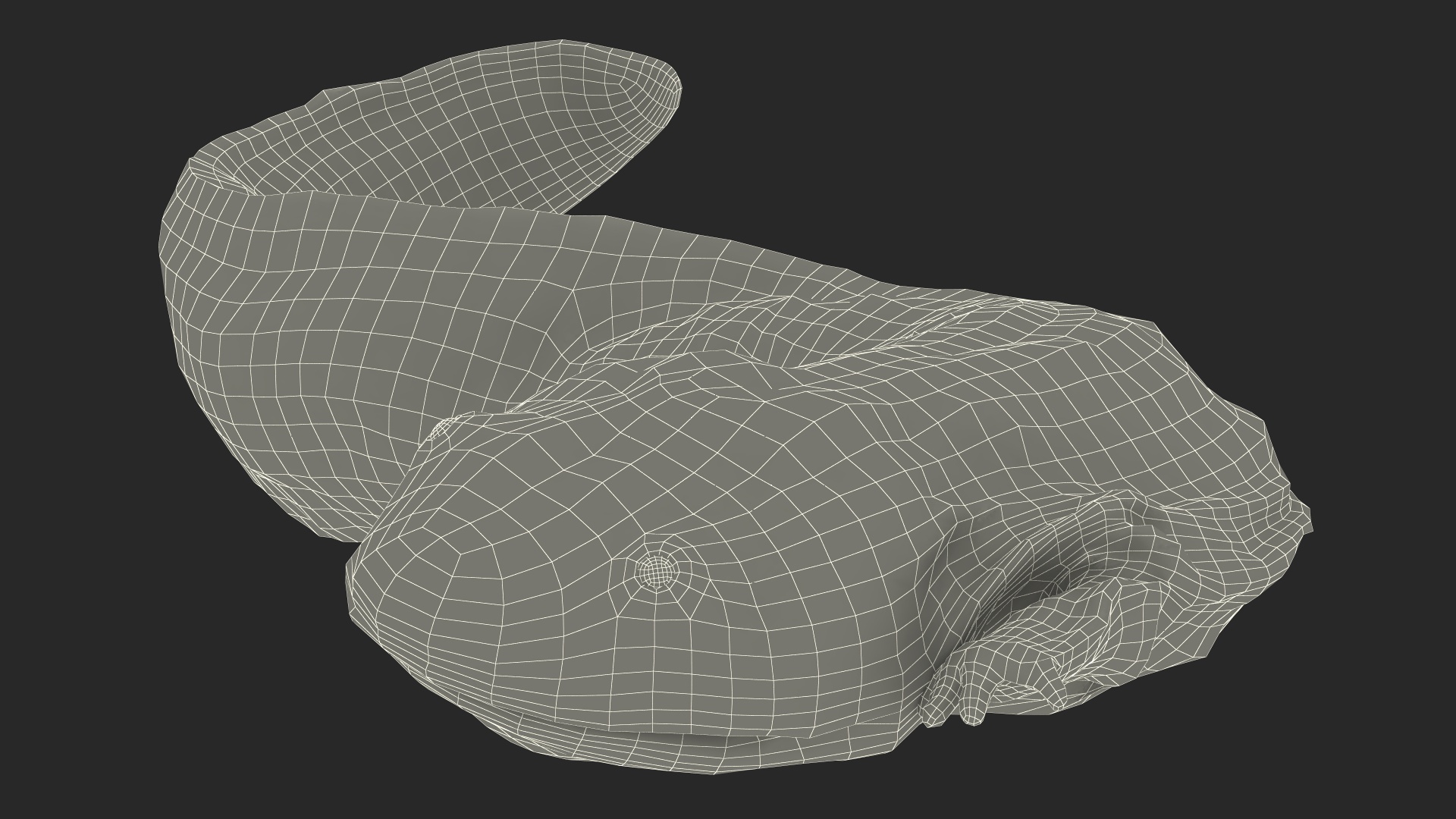 3D Salamander Dark Lying