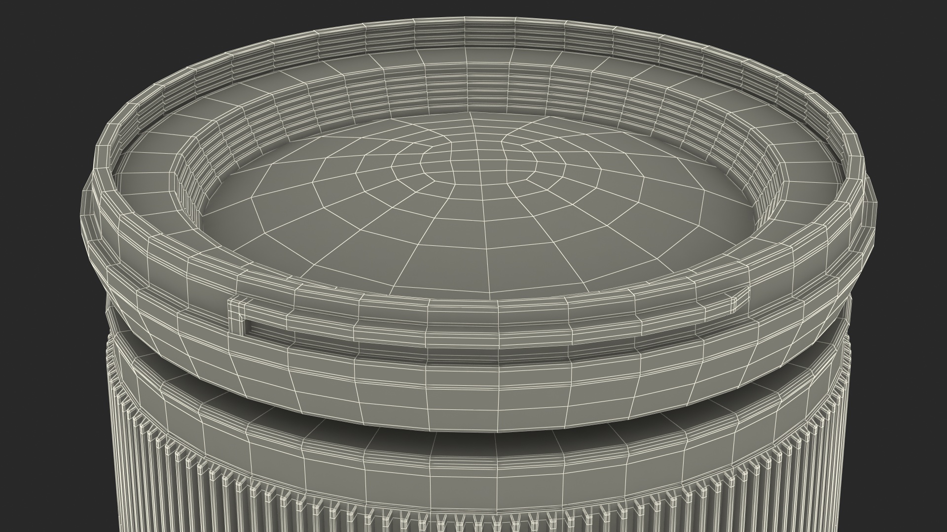 3D model Camera Lens 24 70mm f4 Generic
