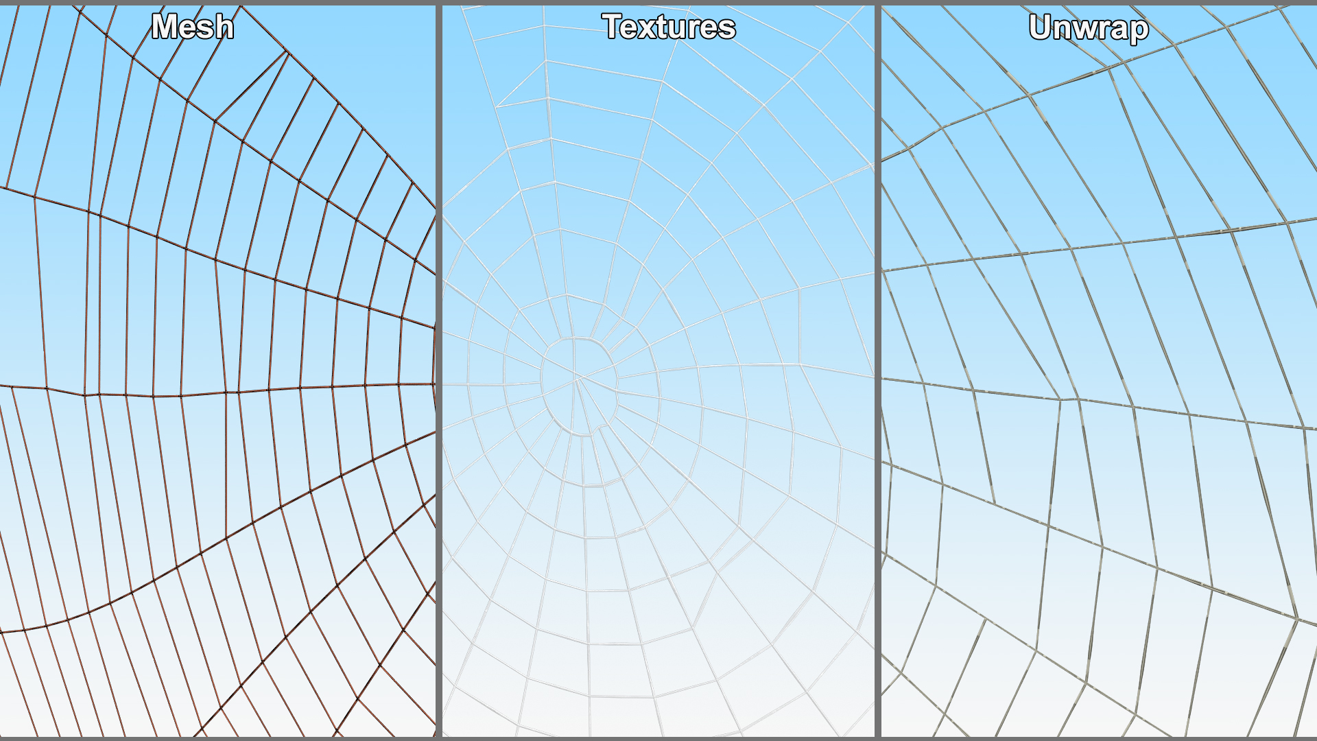 3D Spider Web in Circle Shape