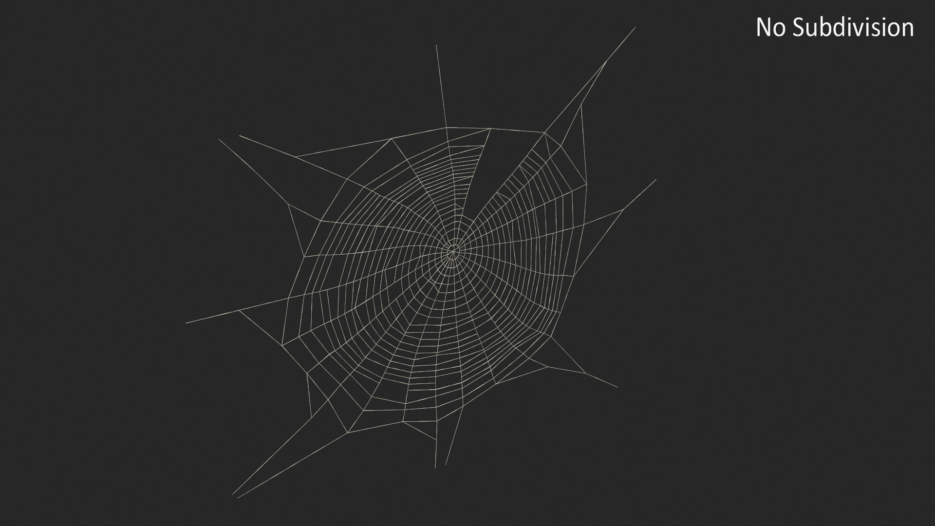 3D Spider Web in Circle Shape