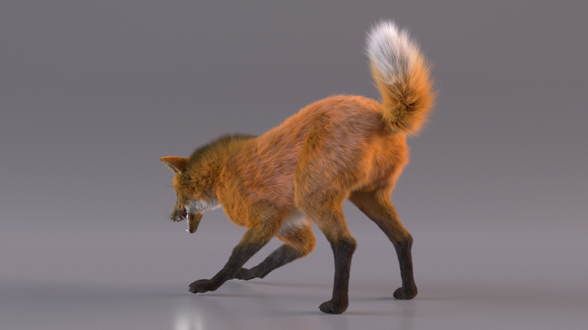 3D Maned Wolf Fur Rigged