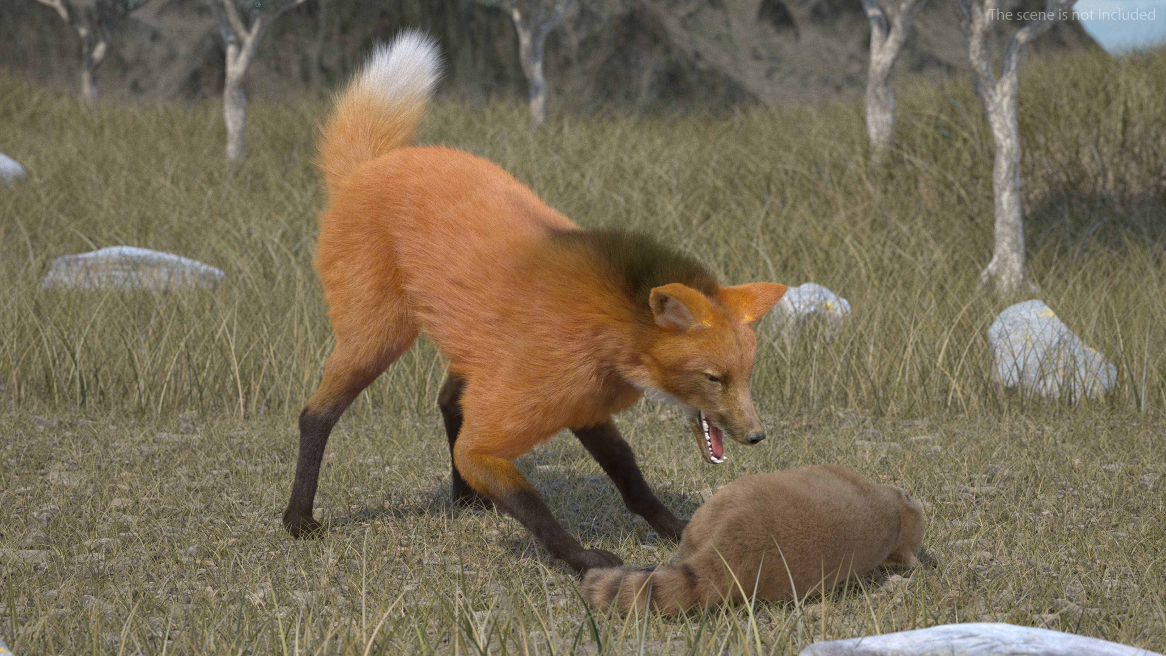3D Maned Wolf Fur Rigged