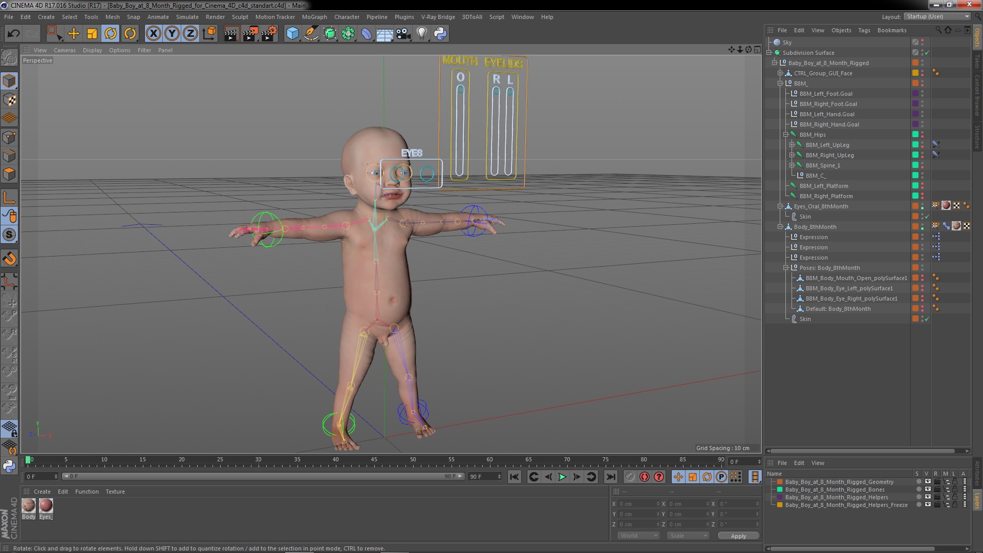 3D model Baby Boy at 8 Month Rigged for Cinema 4D
