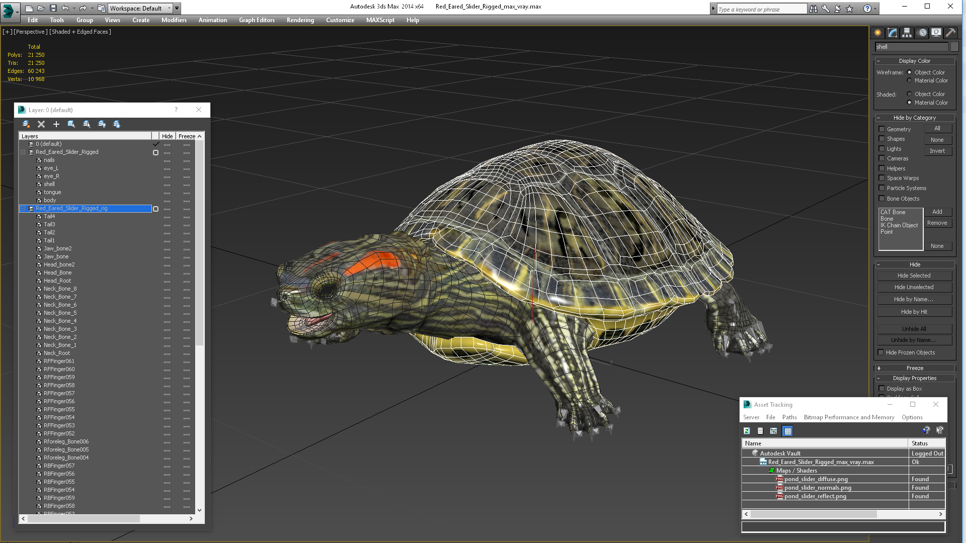 Red Eared Slider Rigged for Cinema 4D 3D