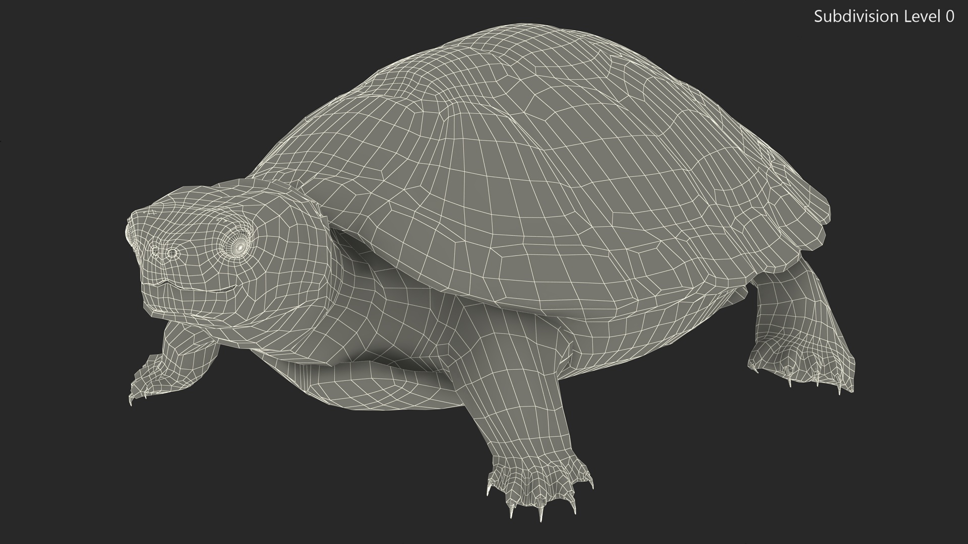 Red Eared Slider Rigged for Cinema 4D 3D