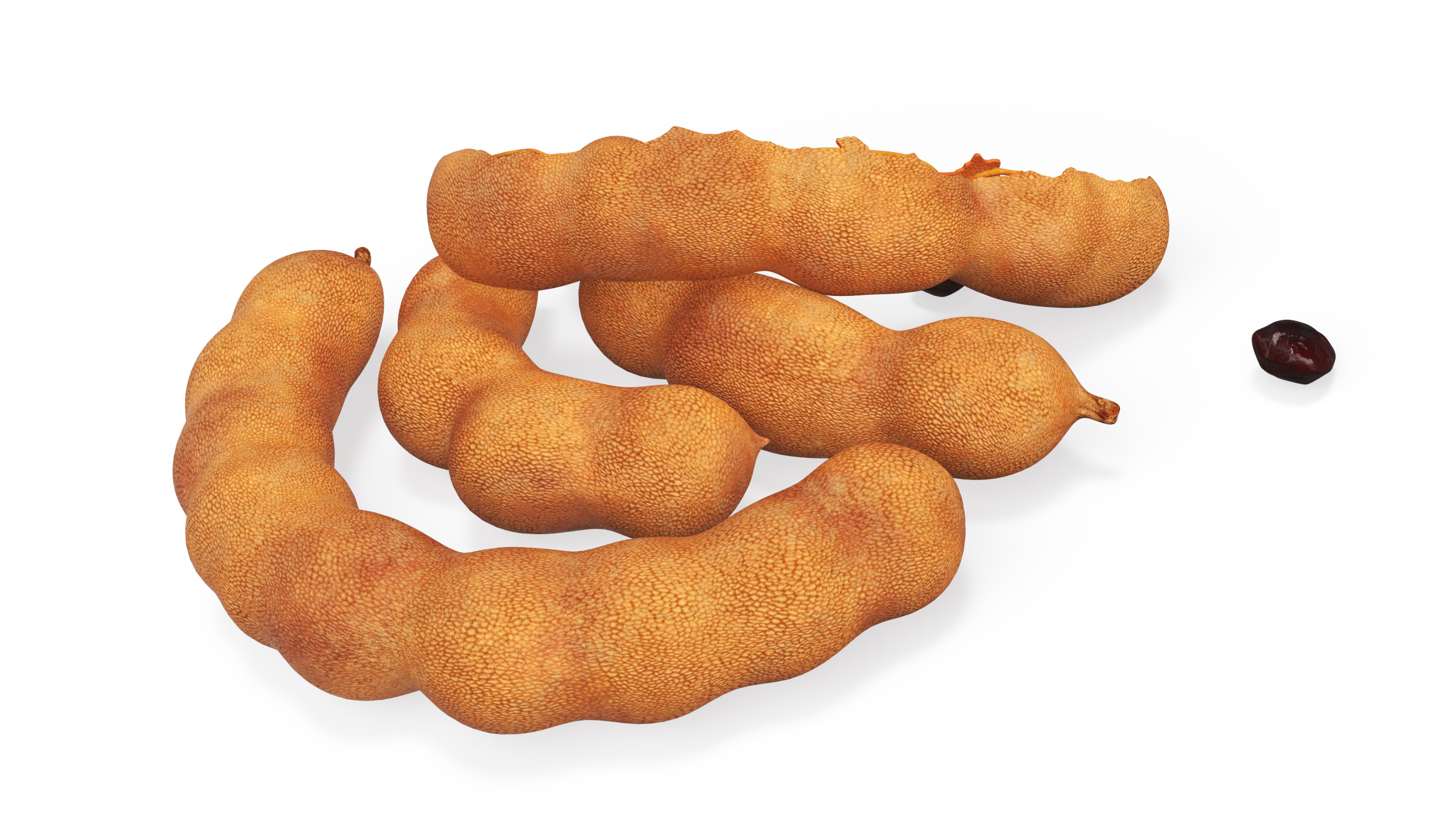 Tamarind Fruits Whole and Opened 3D