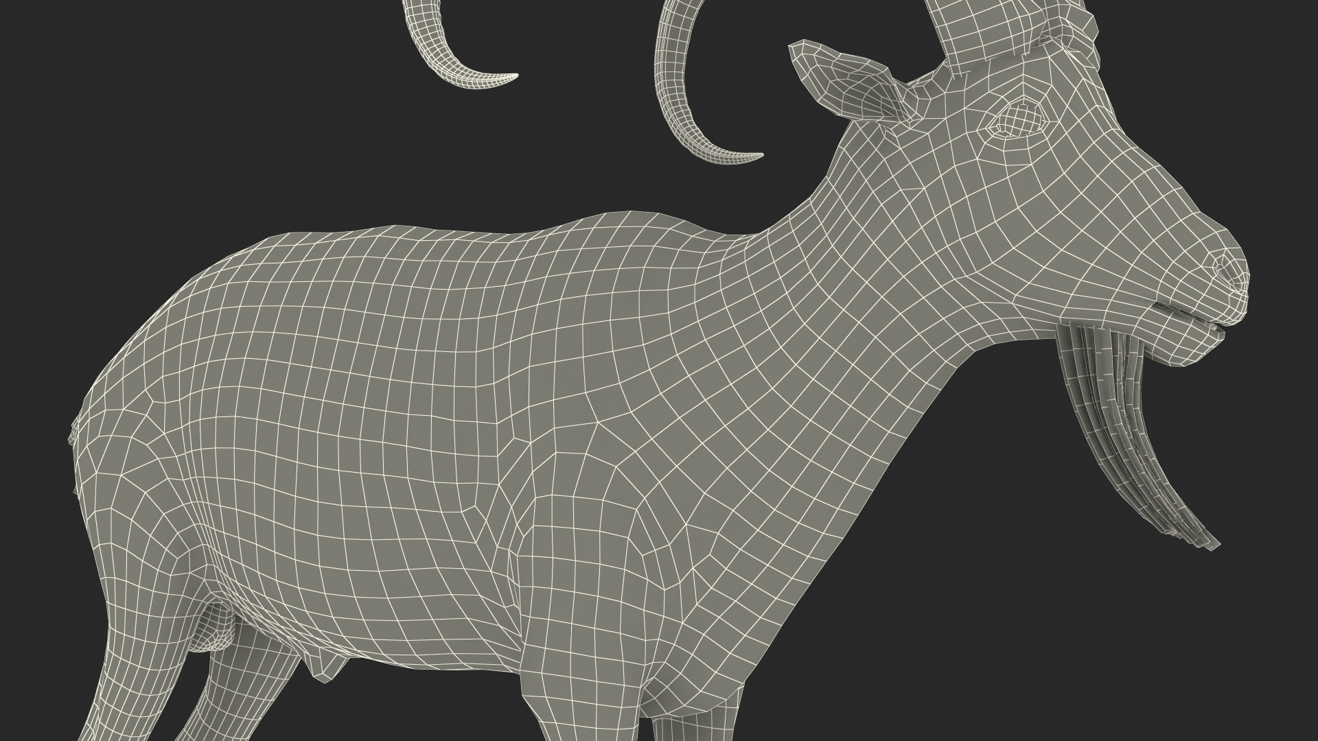 3D Alpine Ibex
