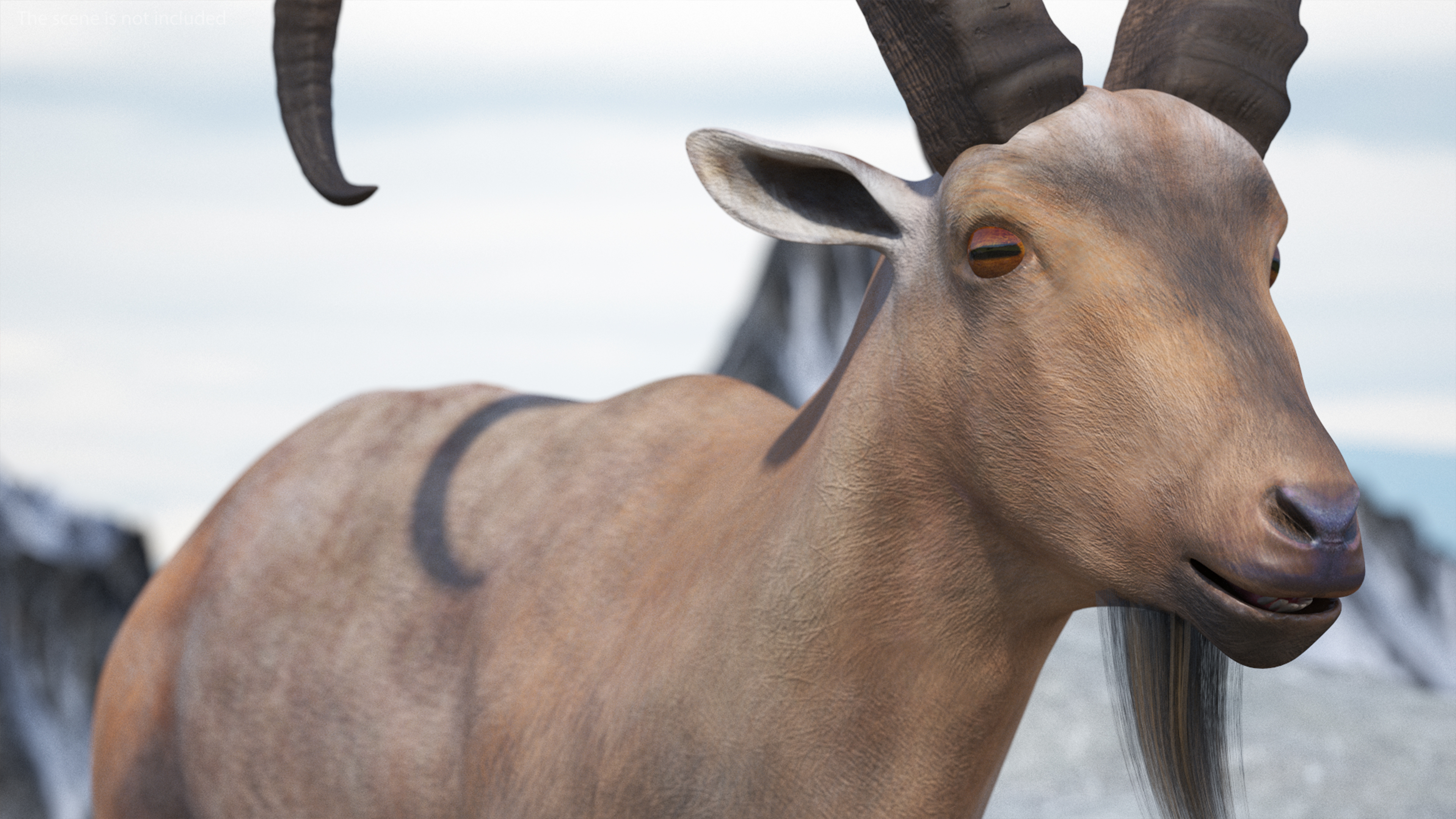 3D Alpine Ibex