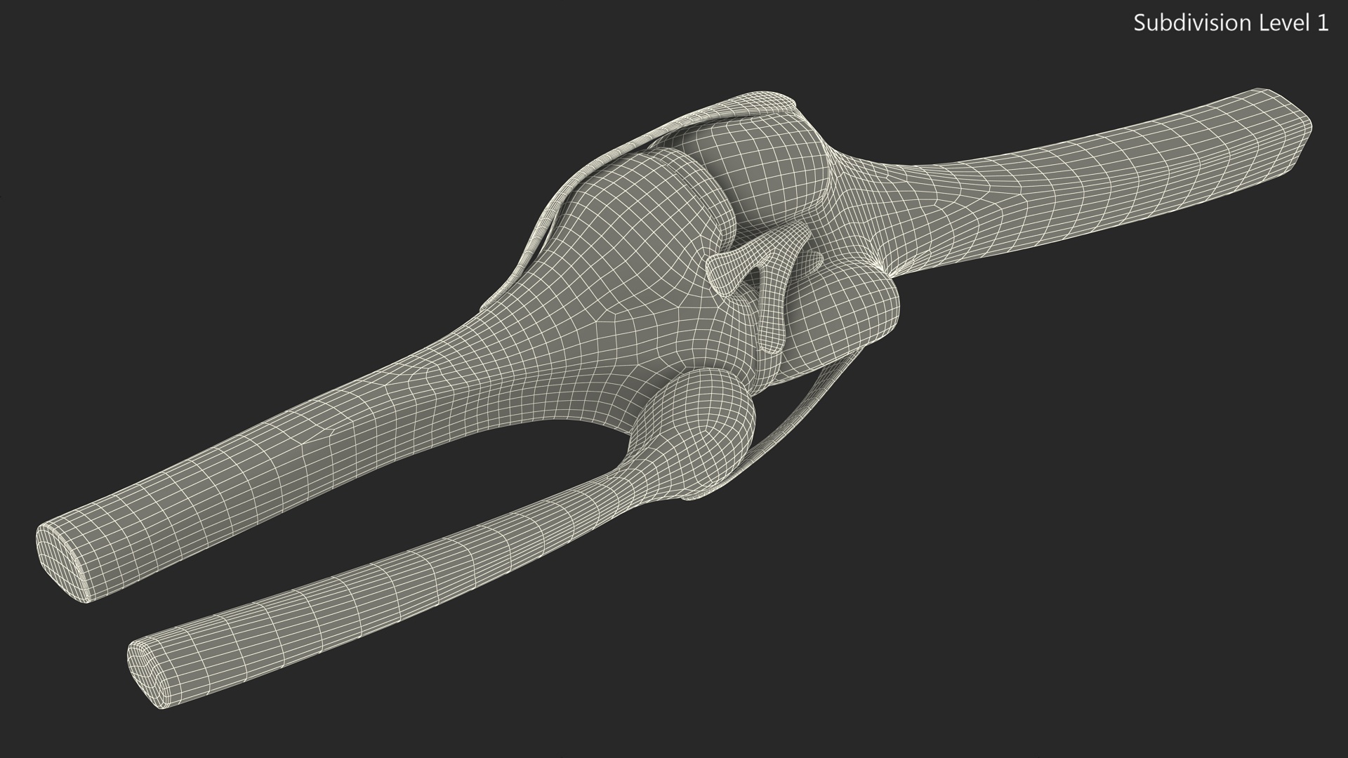 Knee Joint Model Rigged for Cinema 4D 3D