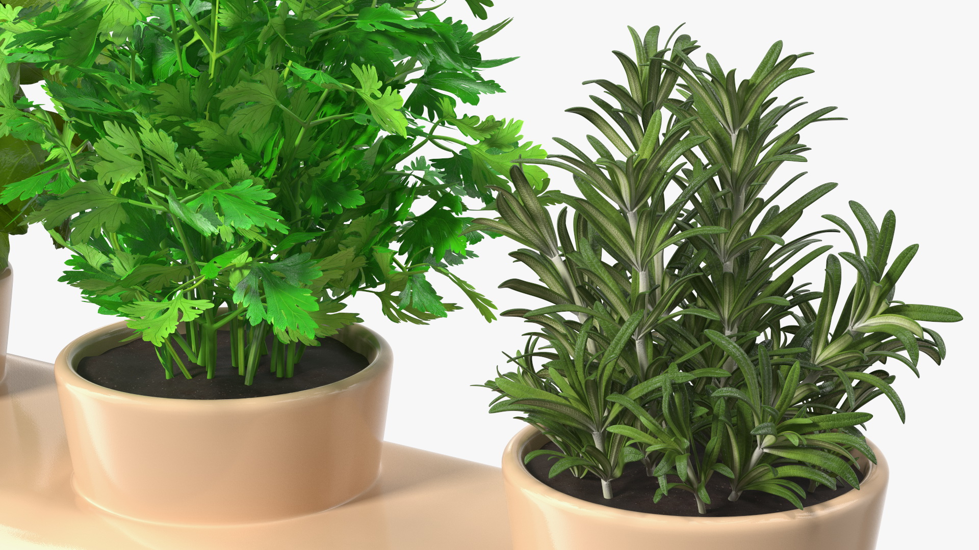 Ceramic Trio Pot with Herbs Sagaform Beige 3D