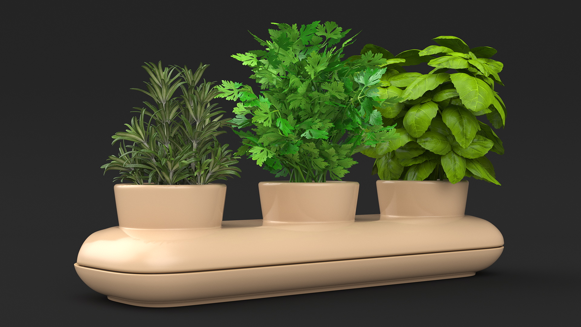 Ceramic Trio Pot with Herbs Sagaform Beige 3D